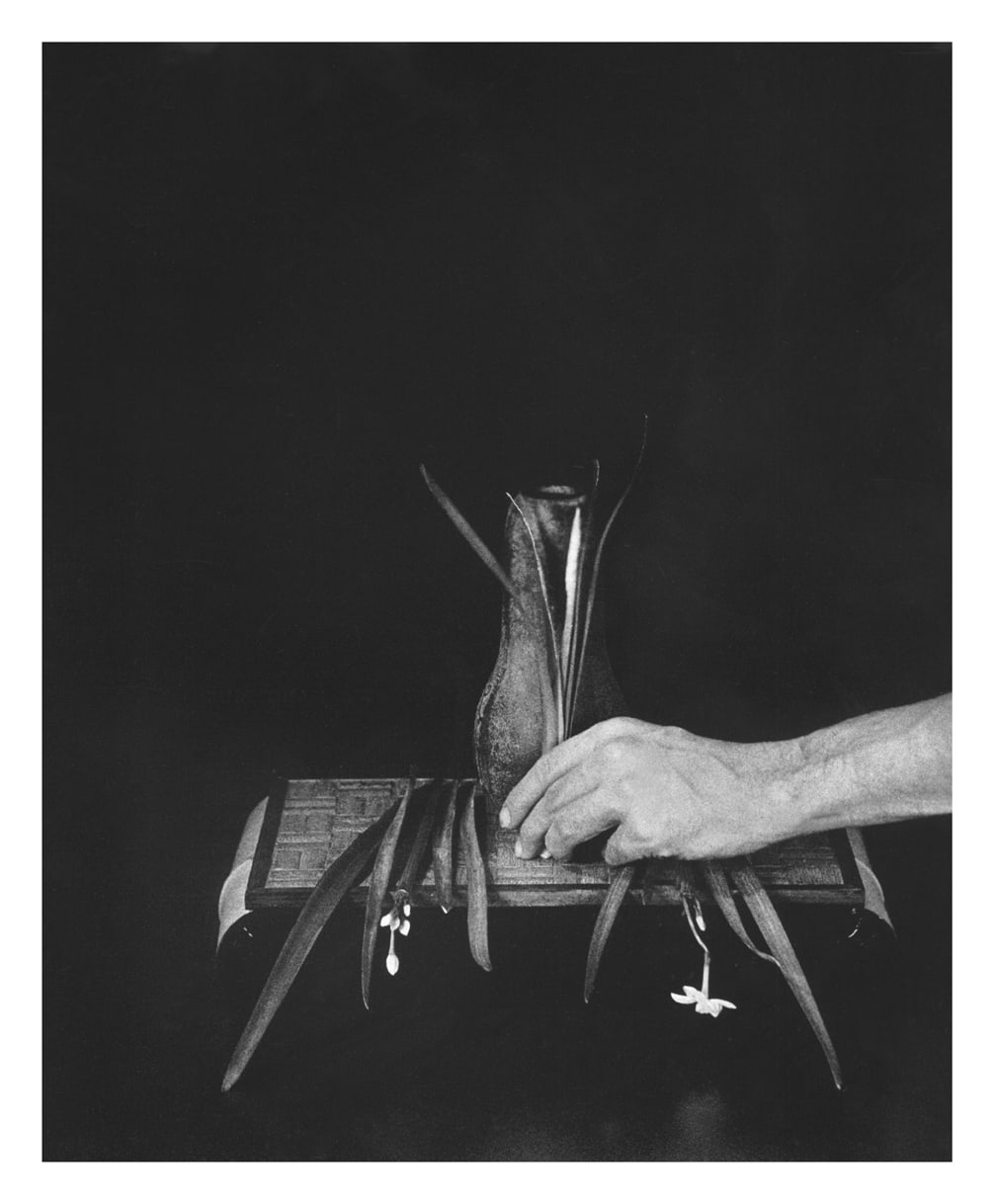 Margarete Jakschik, Untitled, 2008