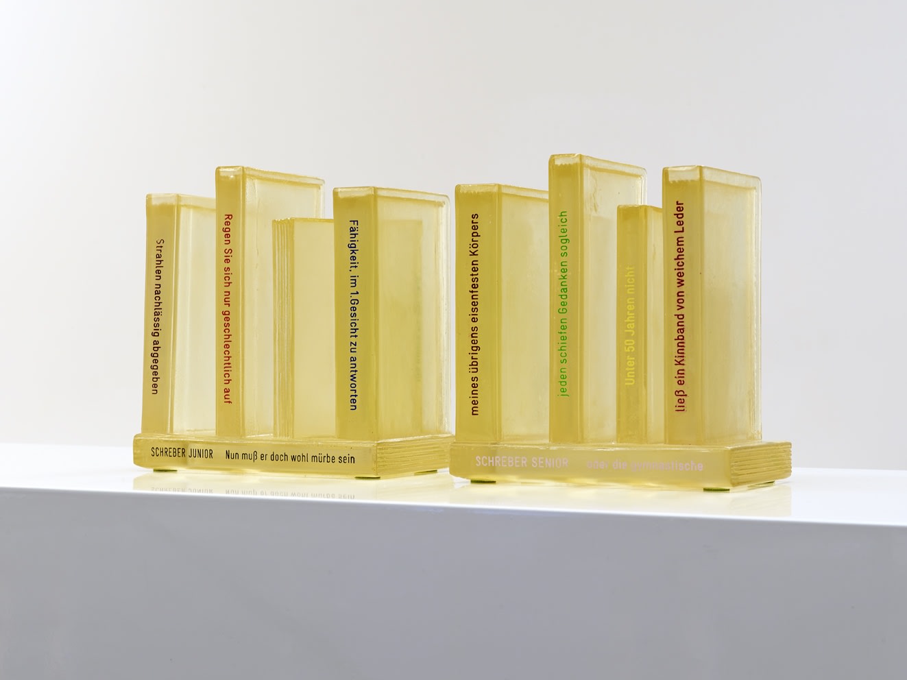 Martin Kippenberger, Schreber, 1995