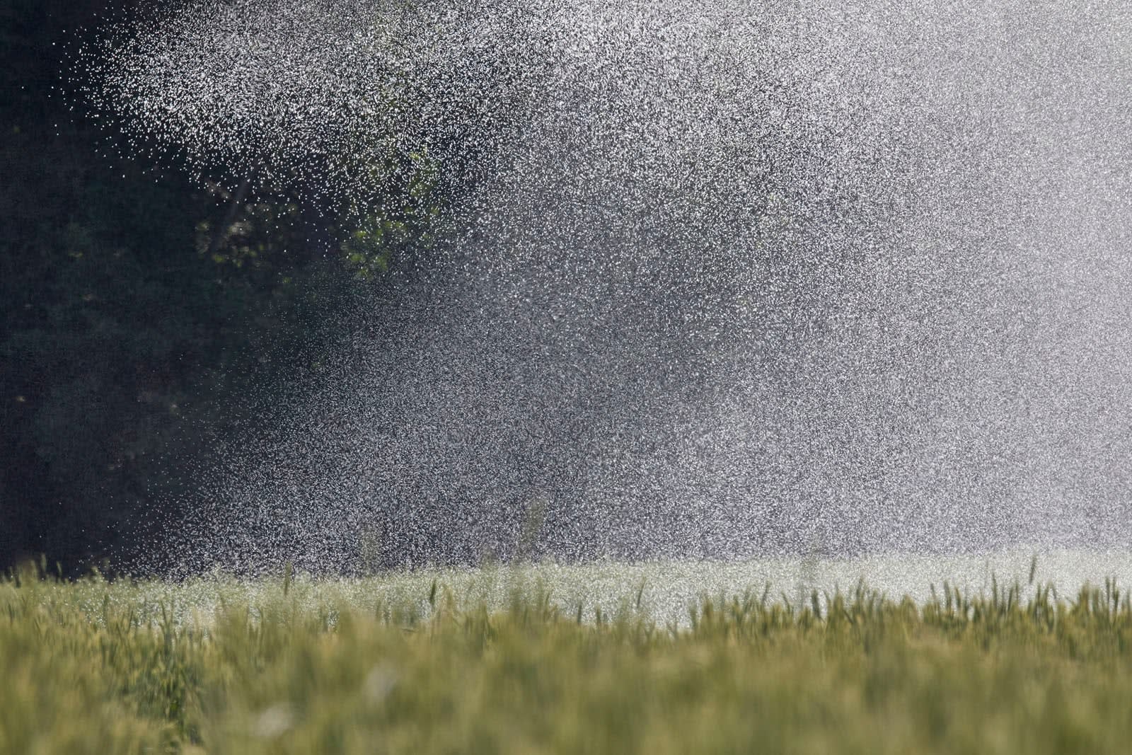 Peter Piller, FHO 06, 2022