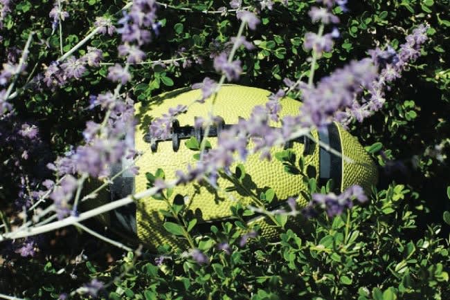 Roe Ethridge, Football and Lavender, 2013