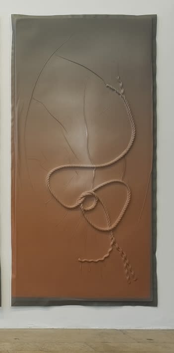 Seth Price, Things That Go South to North, 2009