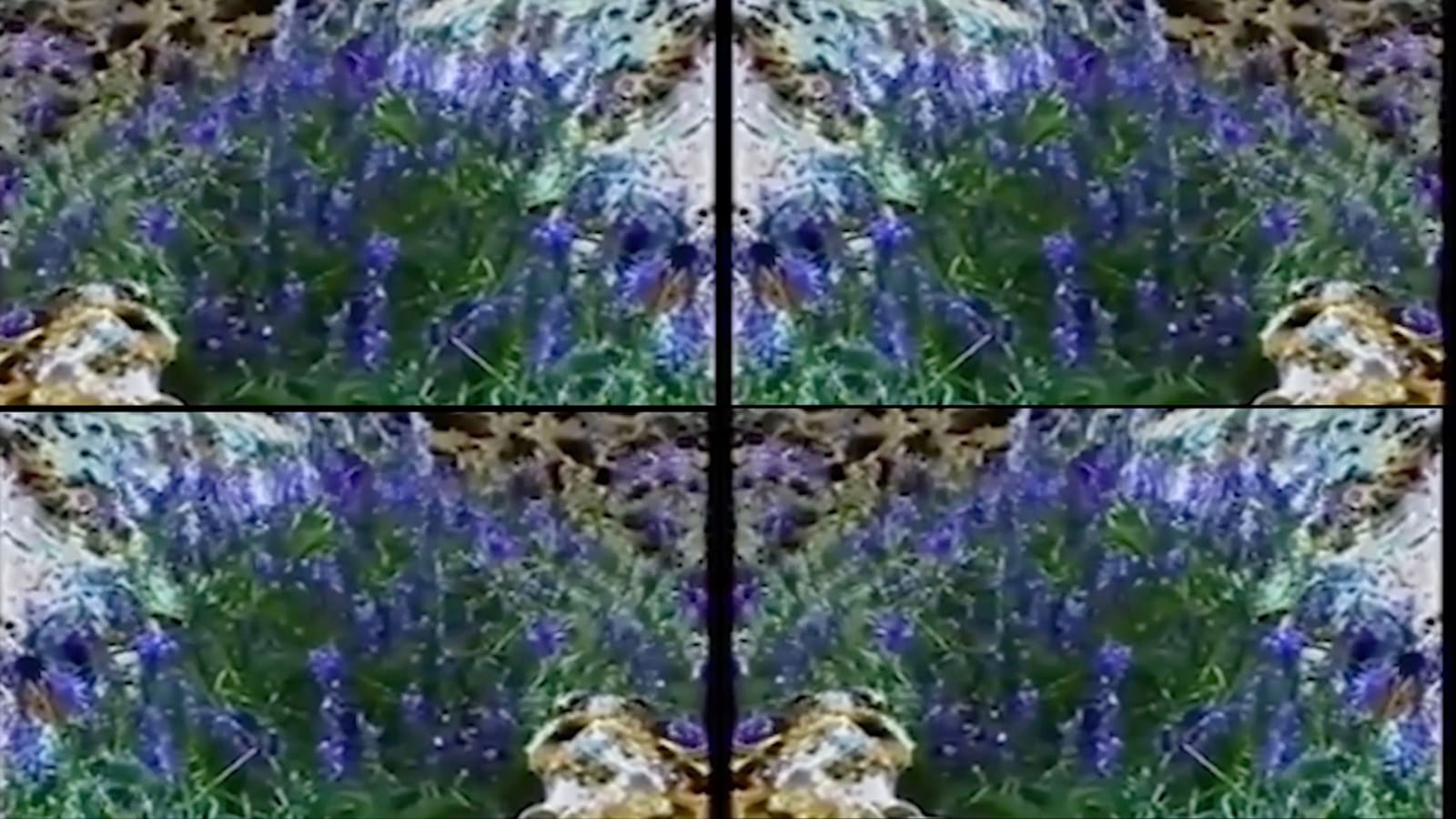 Leyla Yenirce, Paradise, 2019, together with Mazlum Nergiz