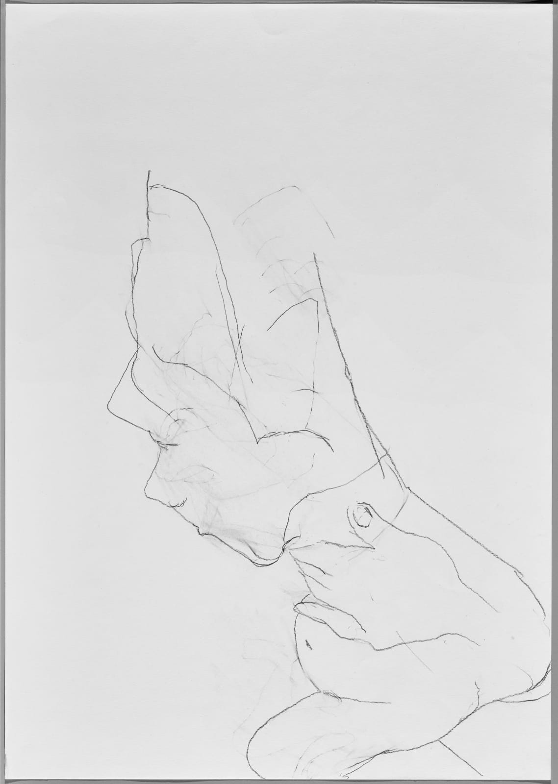 Maria Lassnig, Ohne Titel, ca. 2000 - 2009