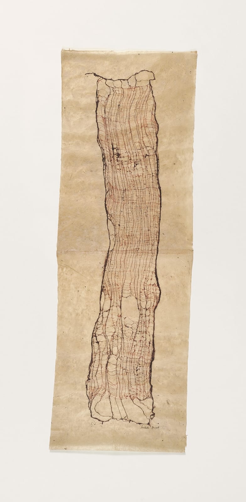 Isabella Ducrot, Katha X, 2013