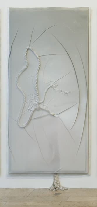 Seth Price, Spraying, 2009