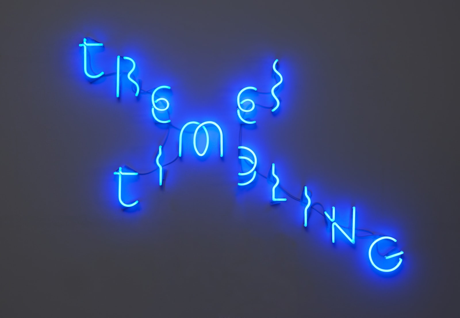 Yael Bartana, TREMBLING TIMES, 2017