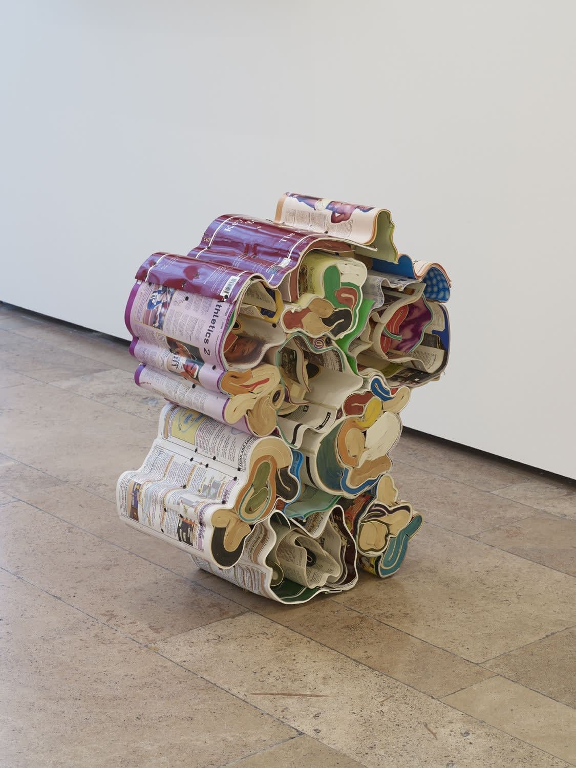 Jonathan Callan, Endoscopes Are Used To Look Inside People, 2008