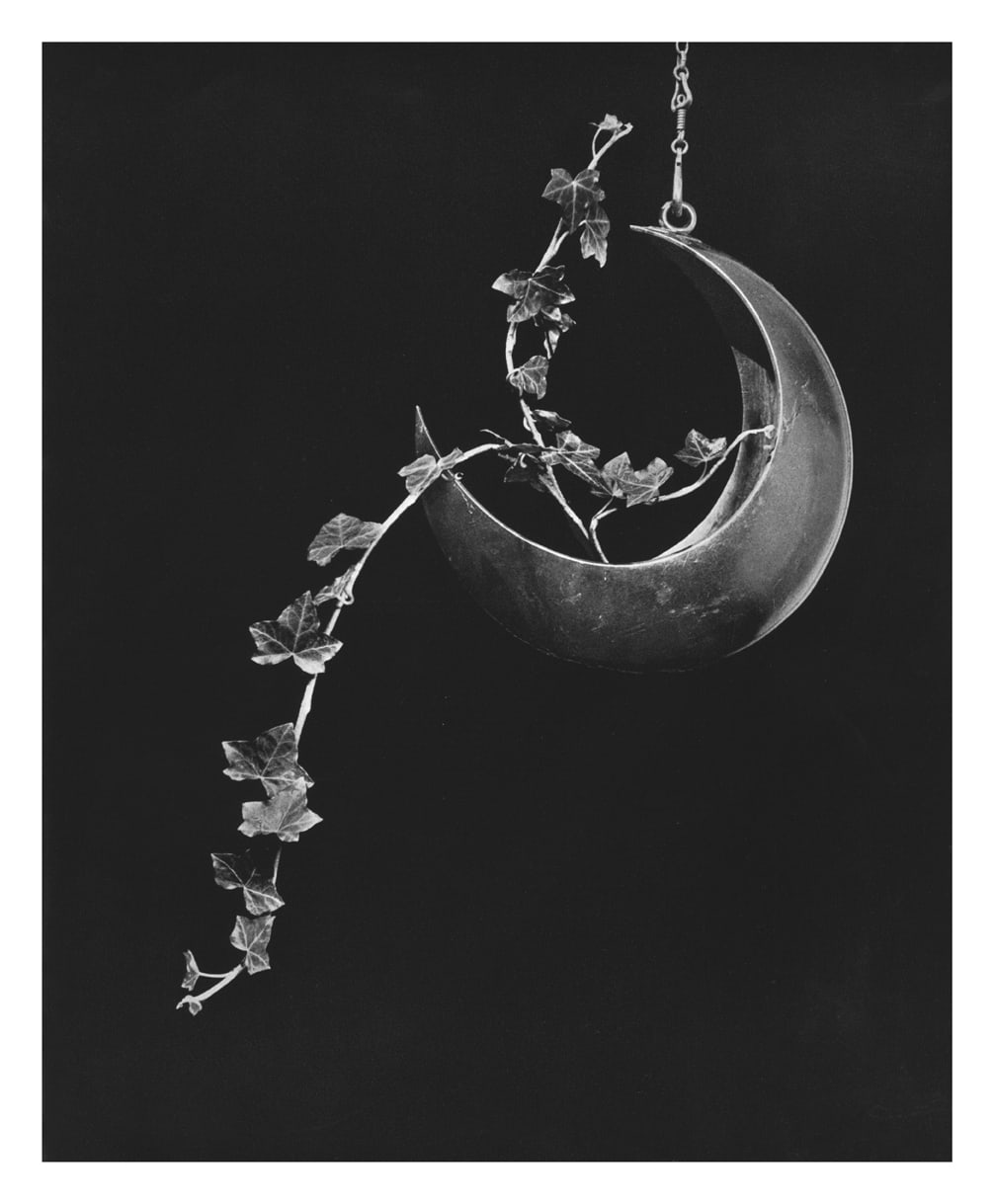 Margarete Jakschik, Untitled, 2008