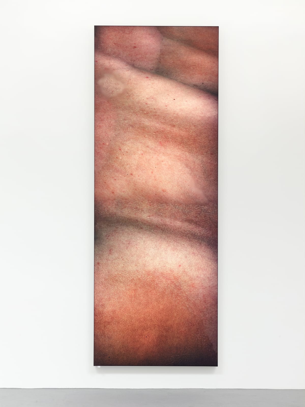 Seth Price, SooZee, 2015-2017