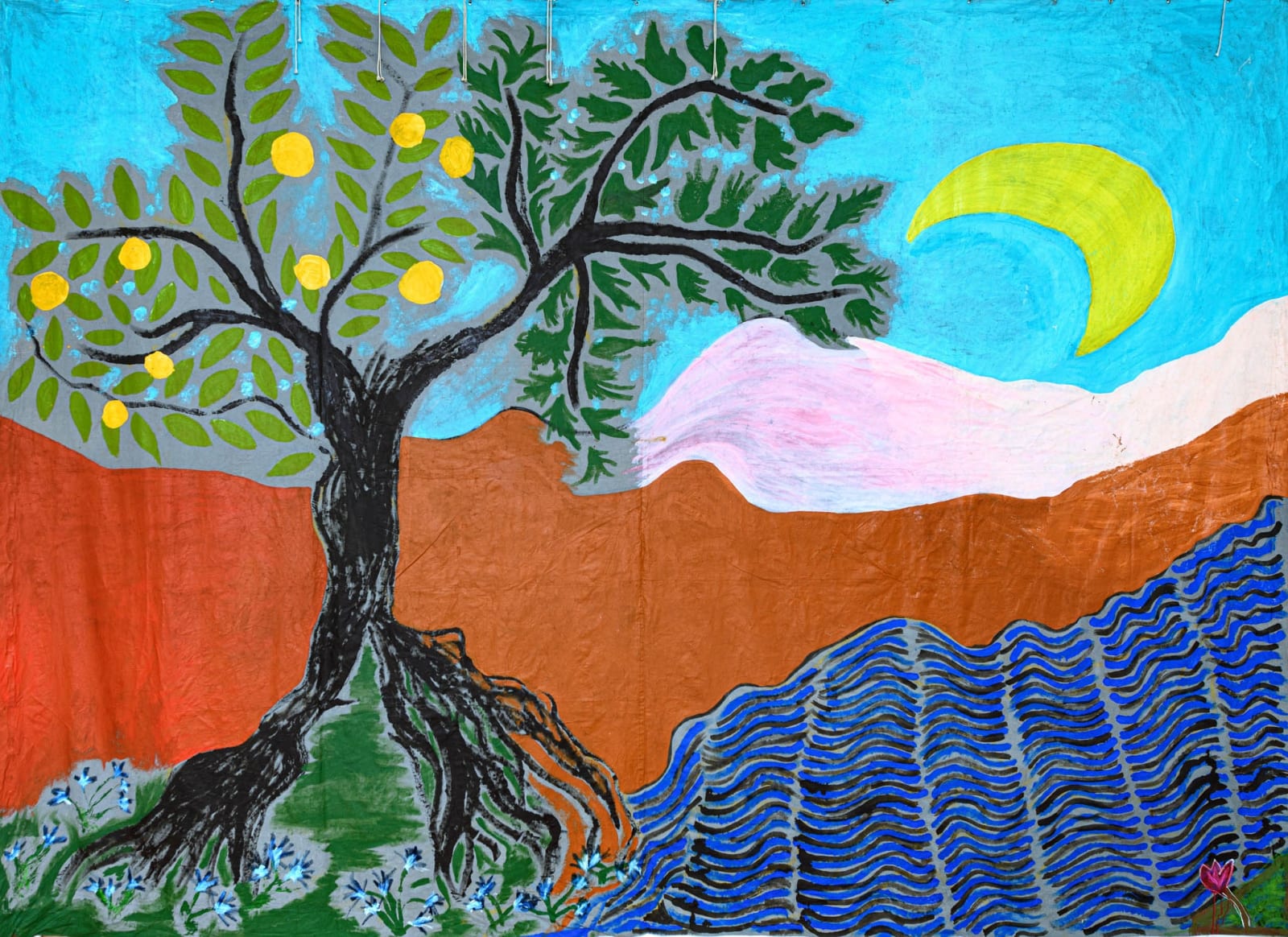 Isabella Ducrot, Big Bella Terra, 2024