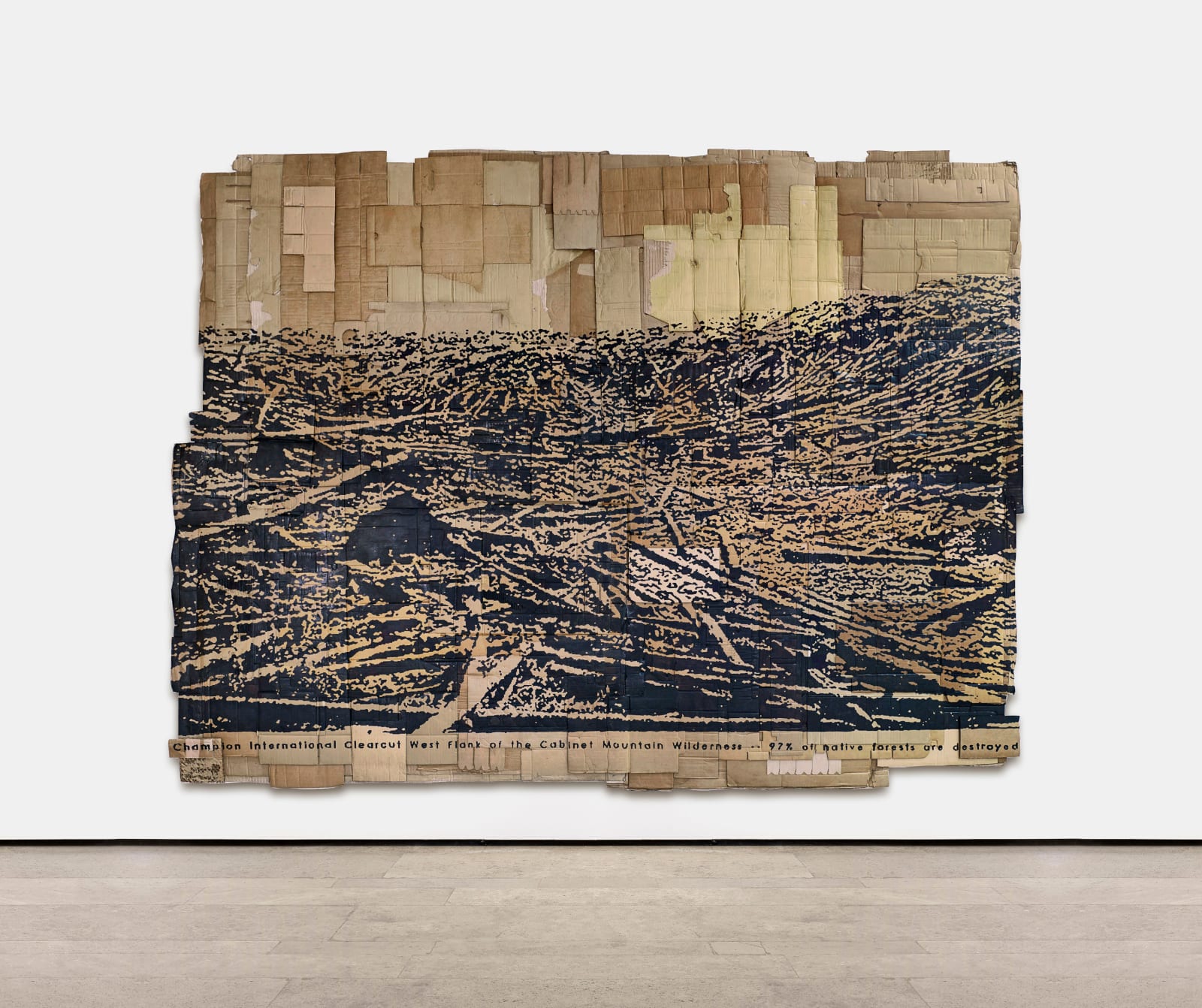 Andrea Bowers, I Am Nature: Champion International Clearcut; West Flank of the Cabinet Mountain Wilderness, 2013