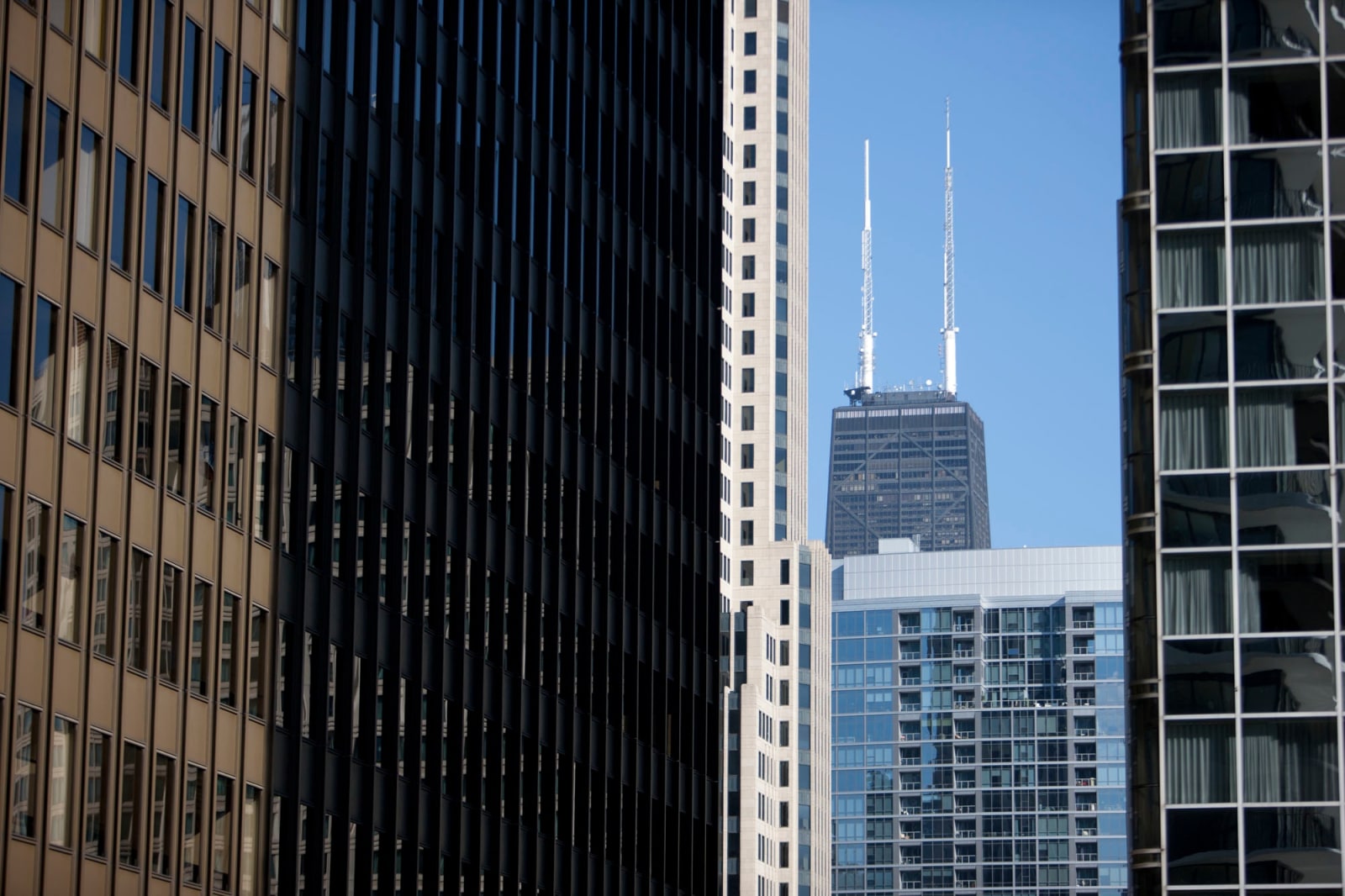 Sarah Morris, Chicago, 2011
