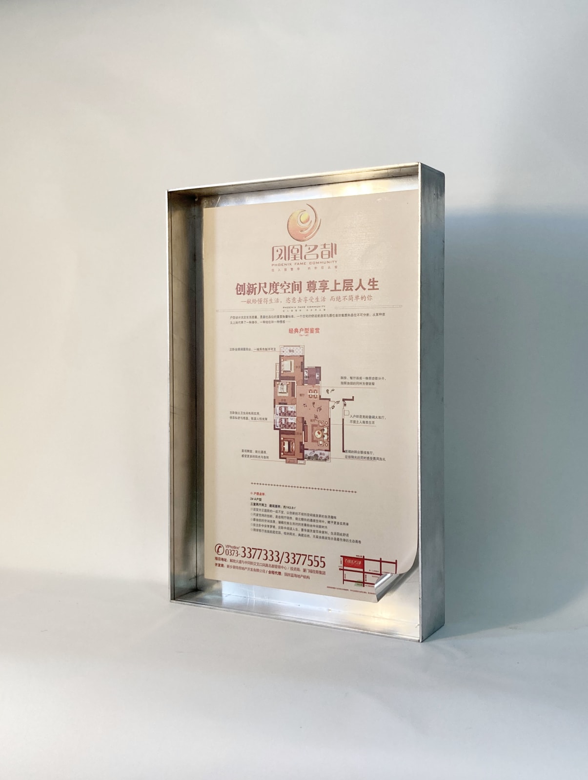 Jiang Li 蒋立, The Real Estate Flyer 房地产传单, 2020