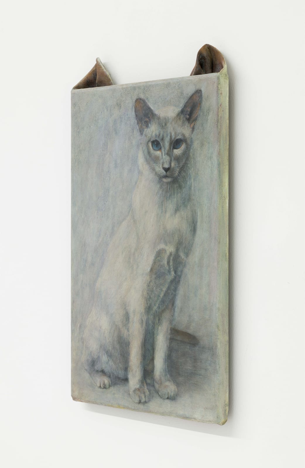 Ryosuke Kumakura 熊倉良介, Cat 猫, 2019