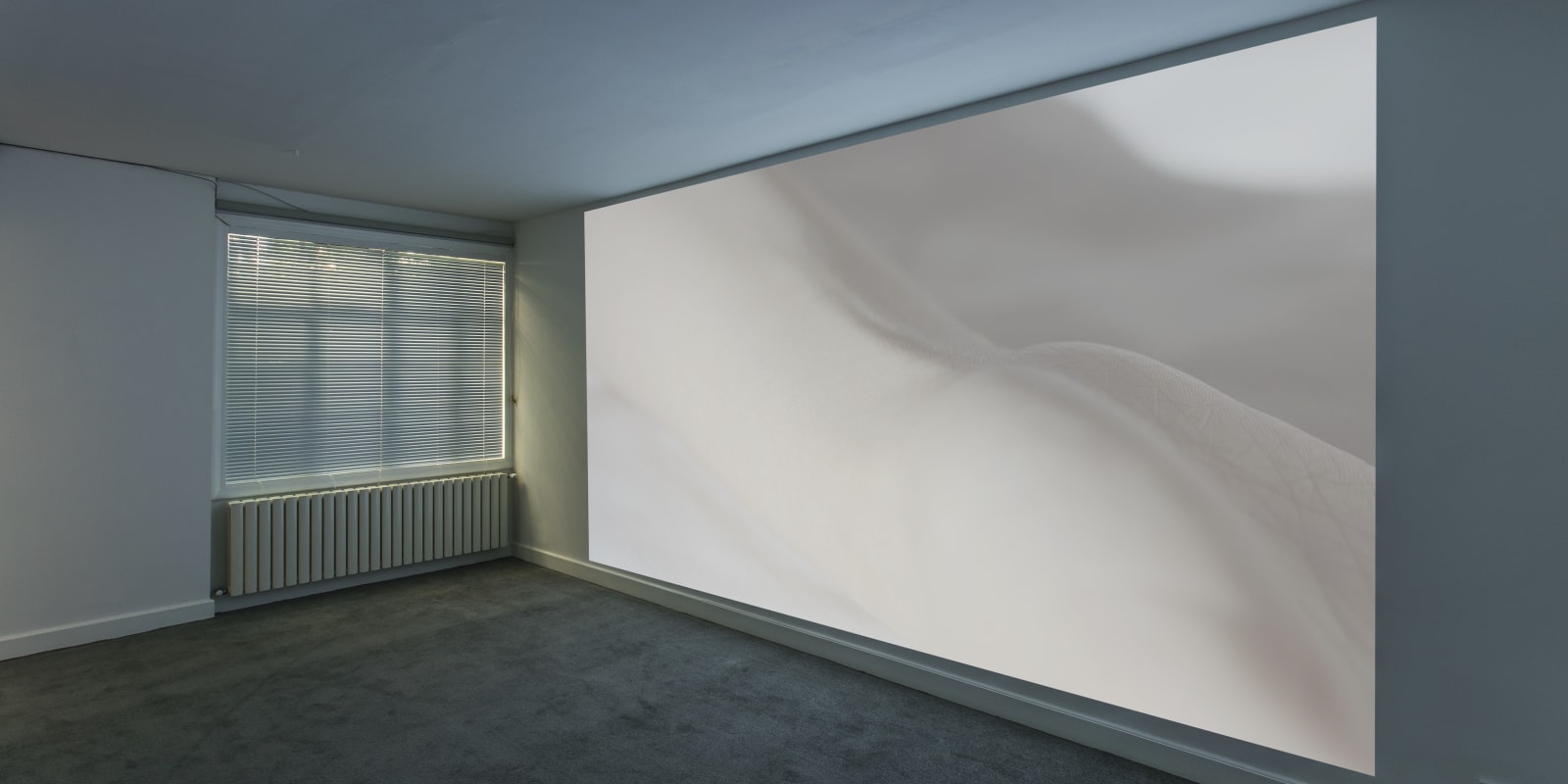 Feng Chen 冯晨, Convulsion 震颤, 2017