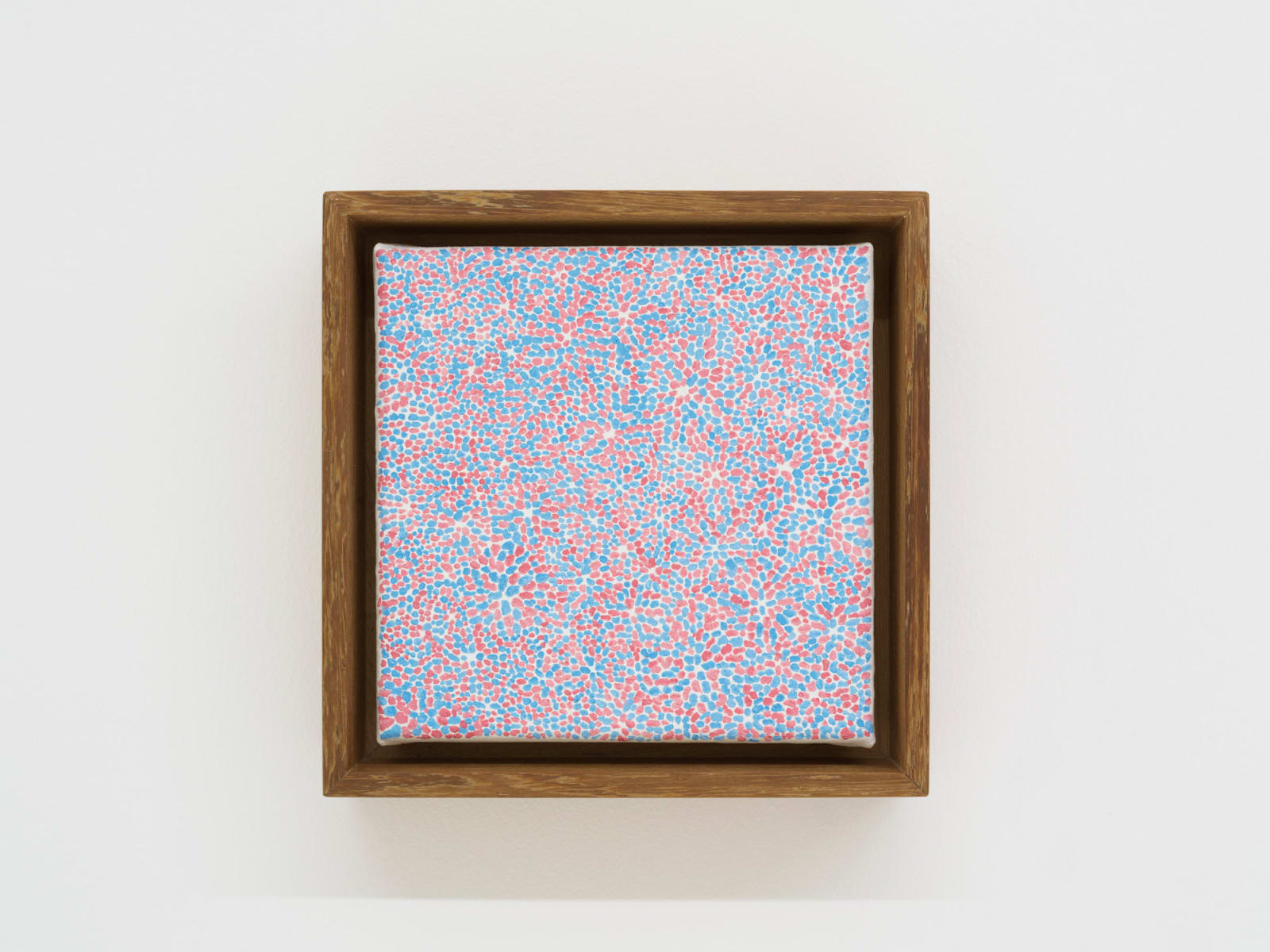 Daniel Chen 陈飞, Stars and Stripes 星与条, 2025