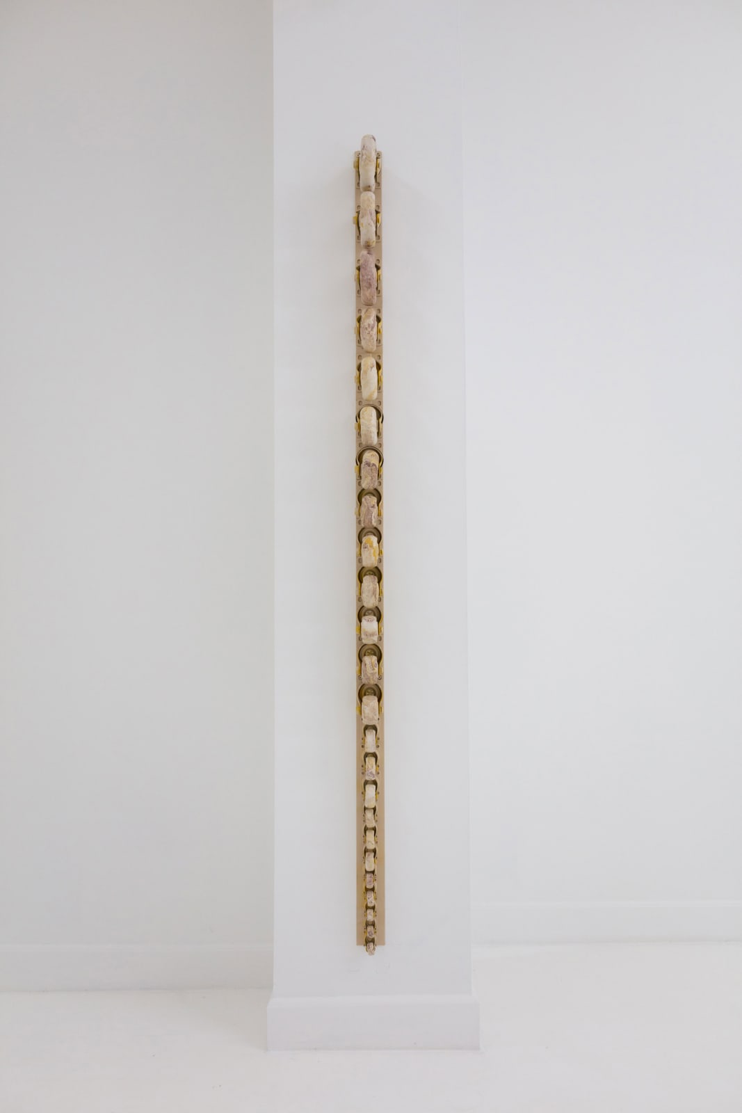 Leelee Chan 陳麗同, Spine 脊, 2019