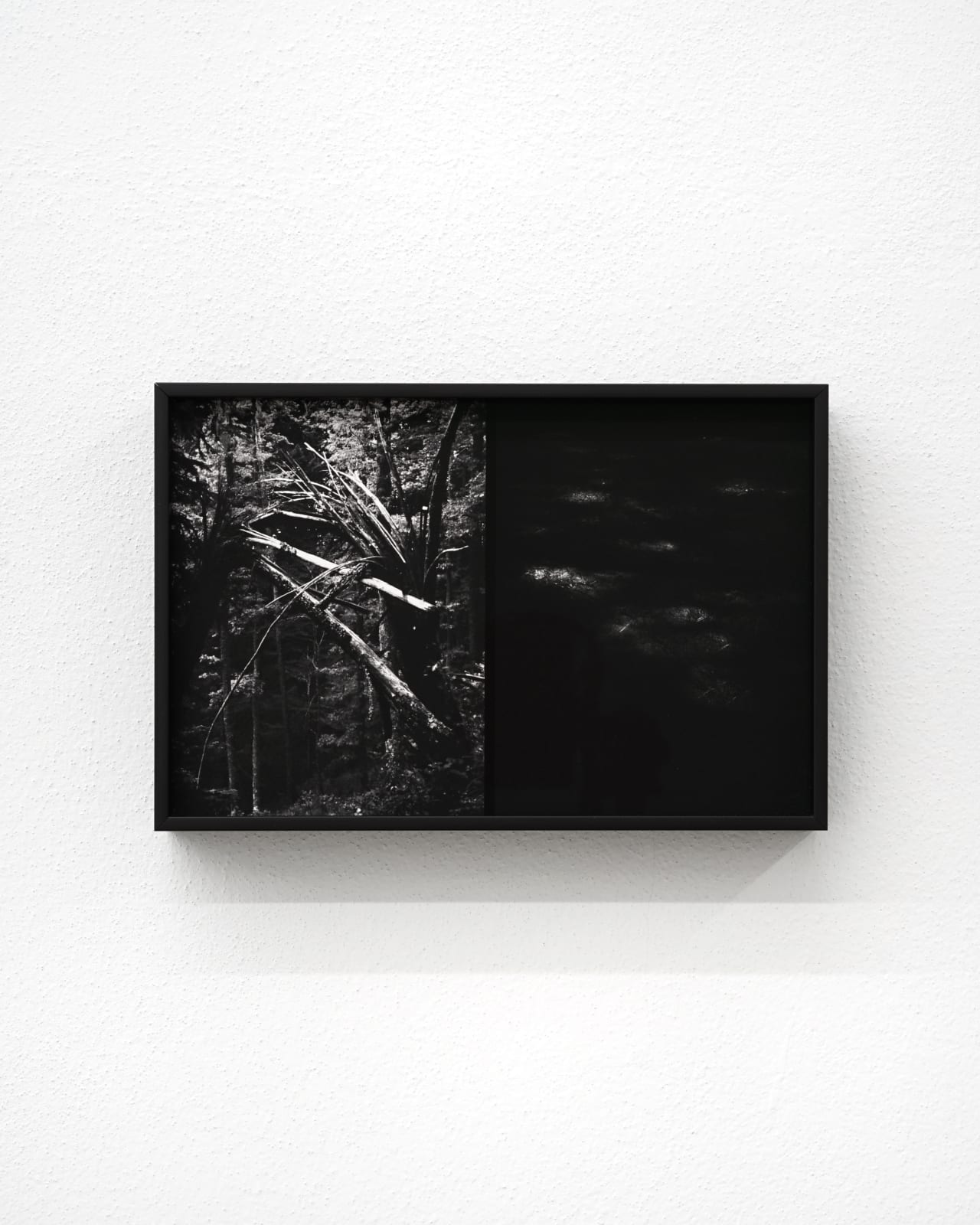 Luca Campestri 卢卡·坎佩斯特里, Necromass 长眠物, 2025