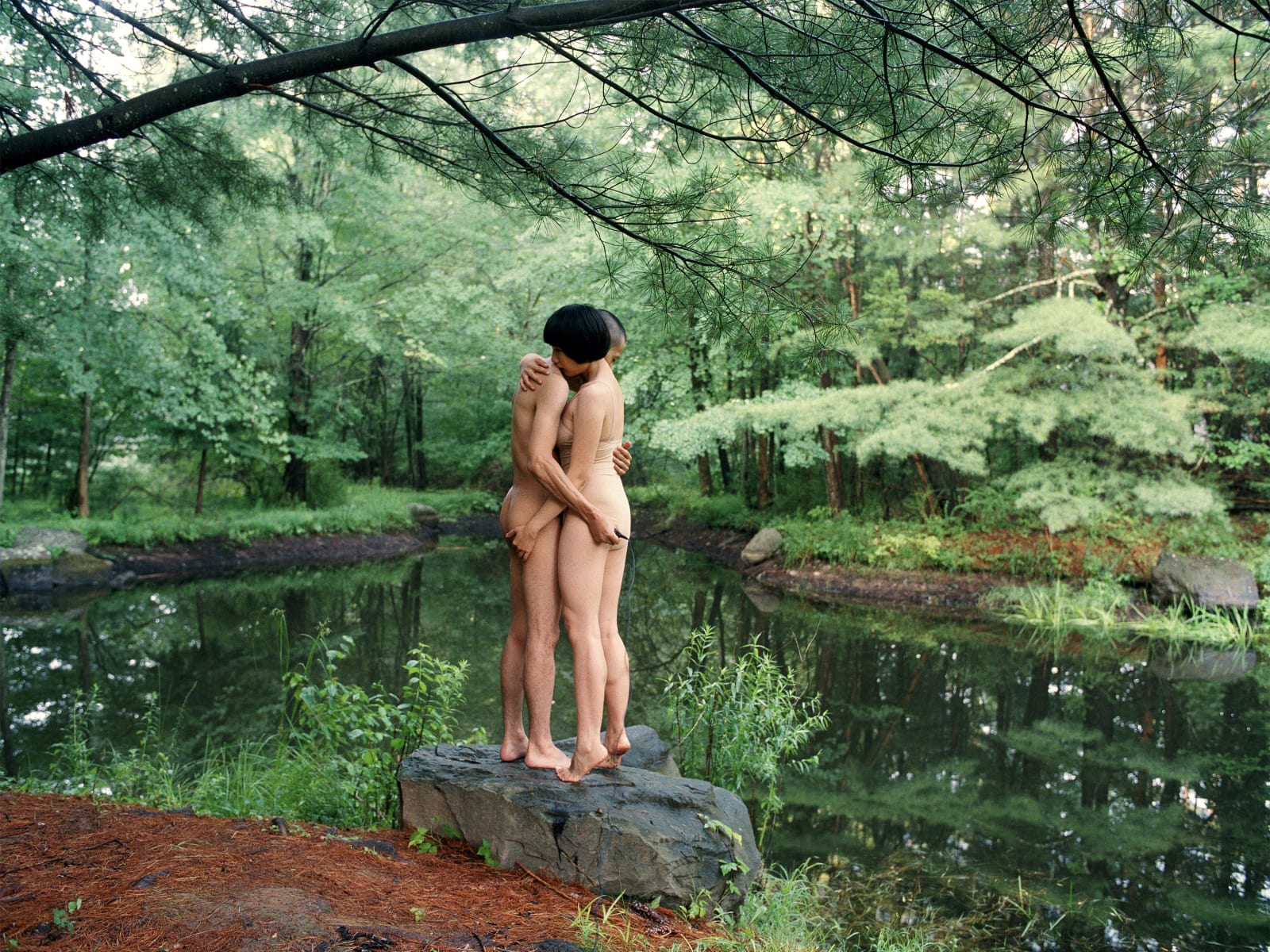 Pixy Liao 廖逸君, Pond Hug, 2019