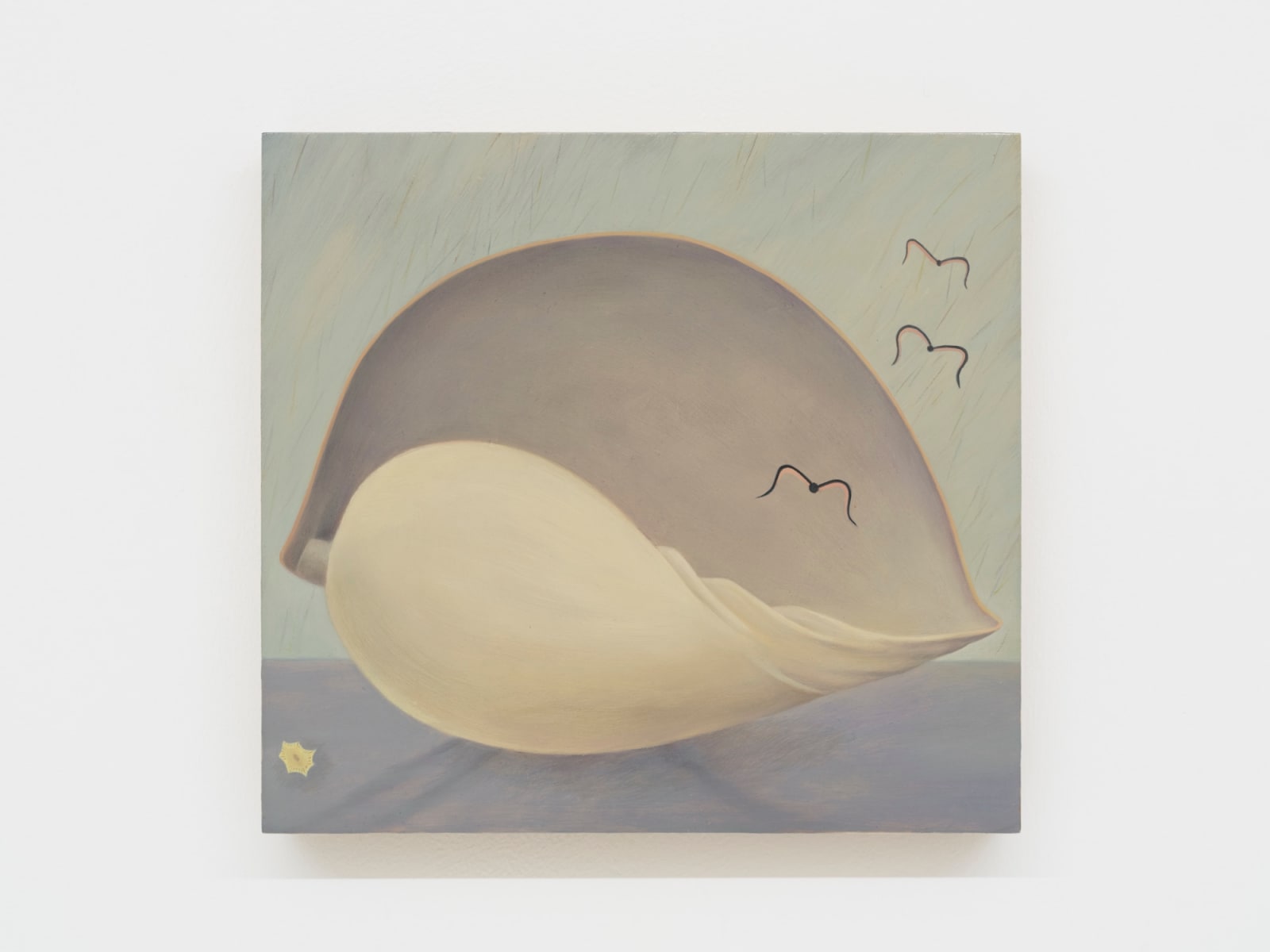 Kong Lingnan 孔令楠, Shell 贝壳 , 2025