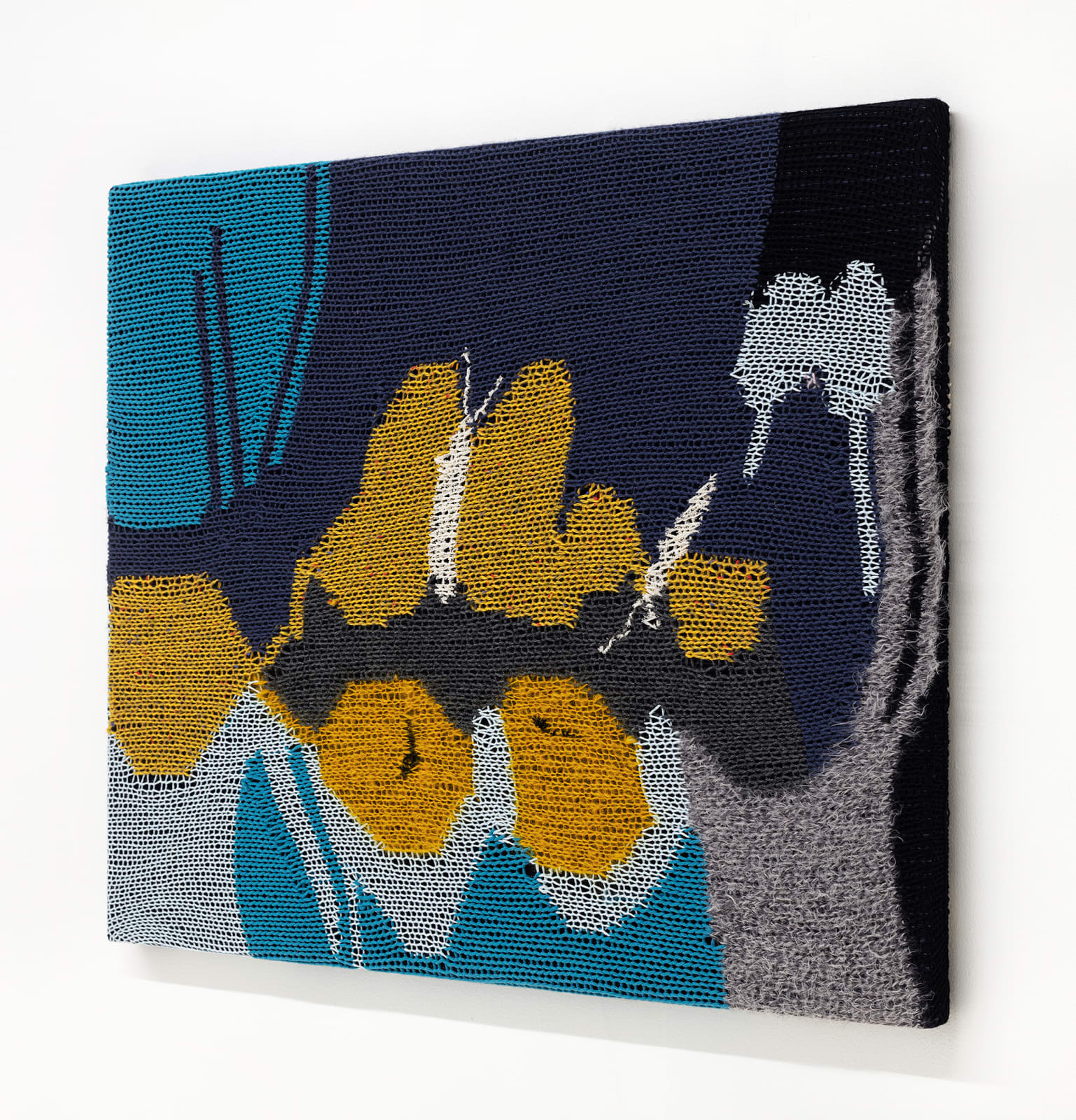 Miranda Fengyuan Zhang 张丰渊, Fruitflies 果蝇, 2019