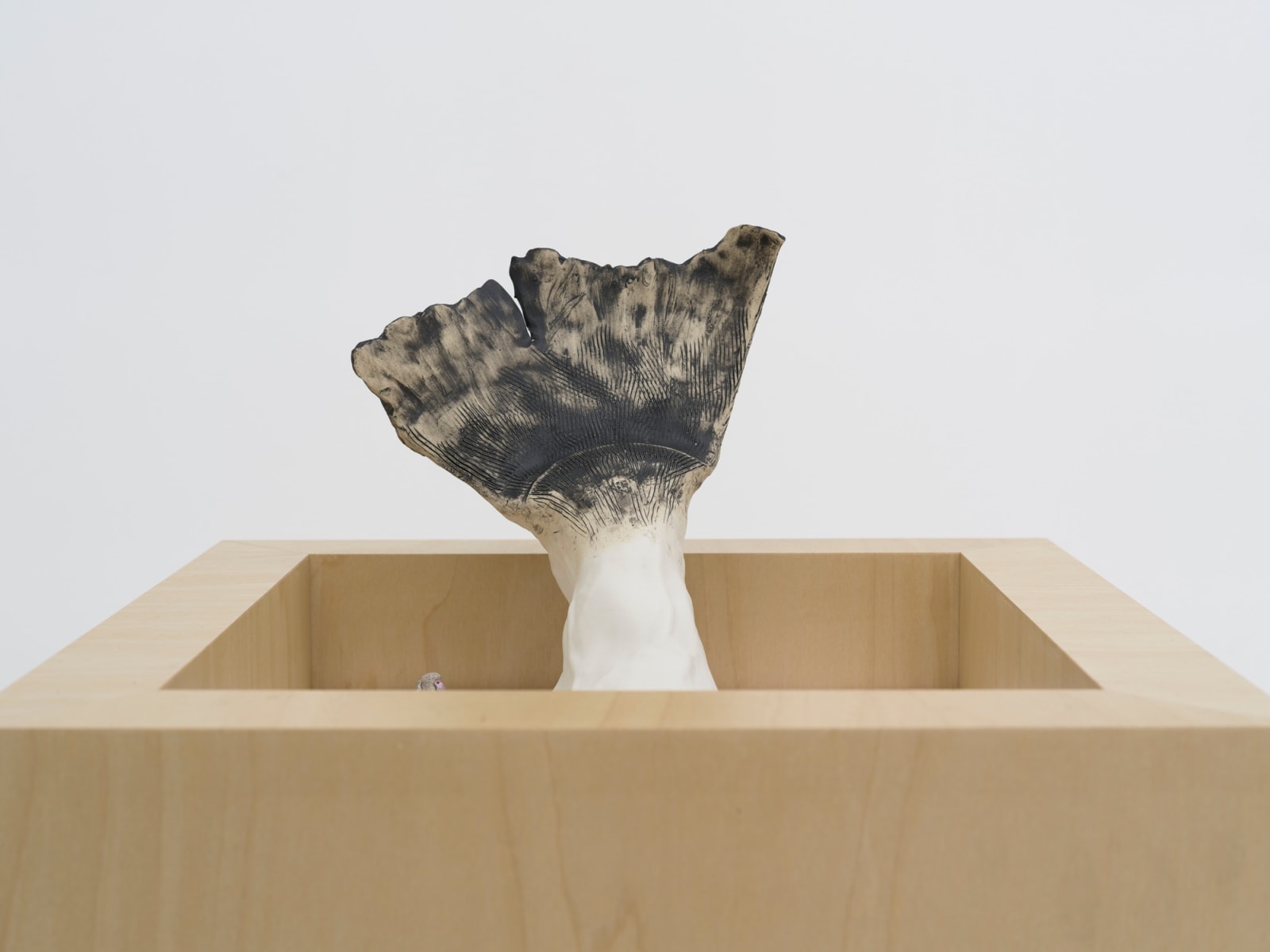 Miranda Fengyuan Zhang 张丰渊, FF010, 2025