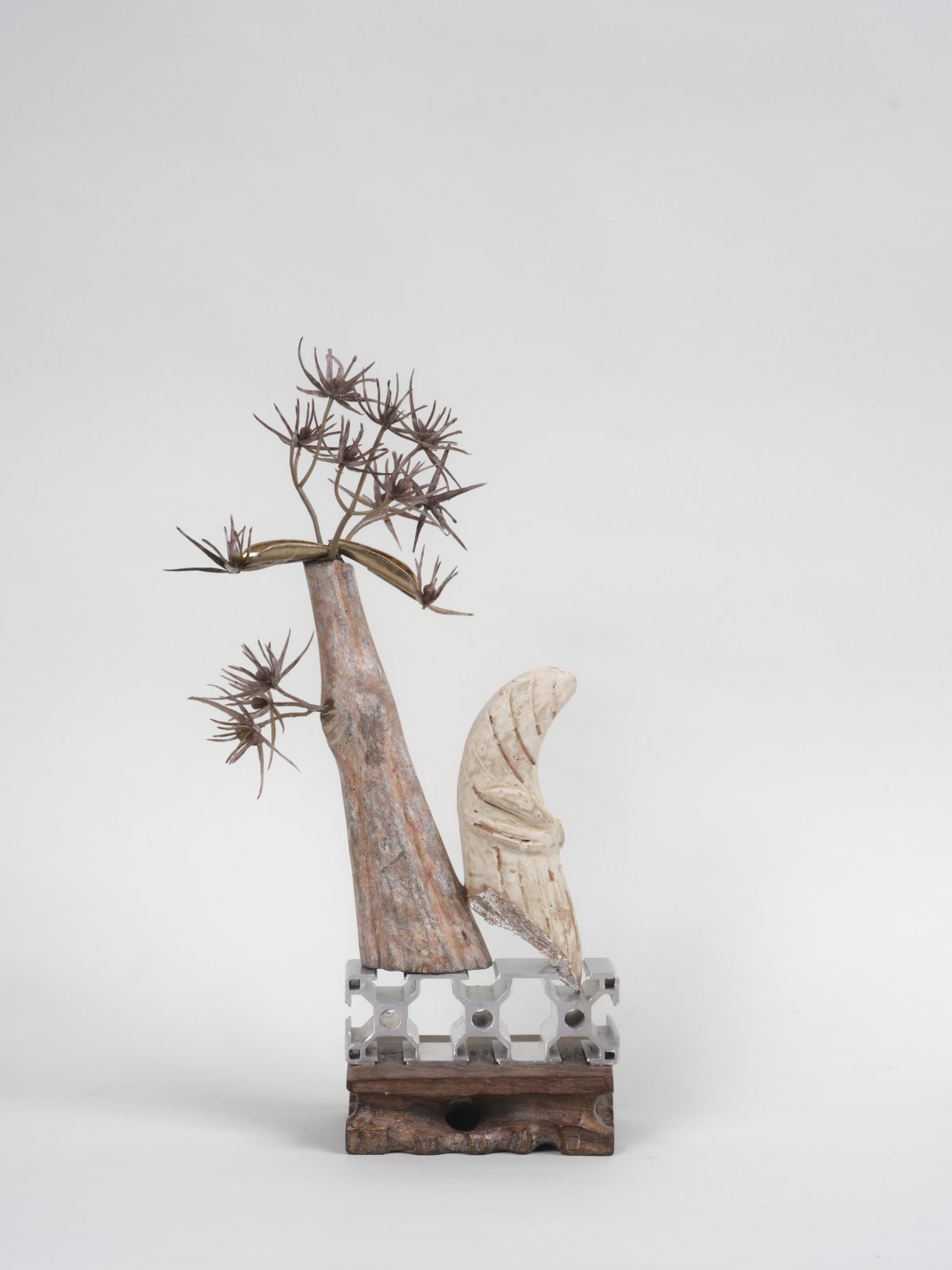 Leelee Chan 陳麗同, Desert Crest 沙漠山稜, 2021