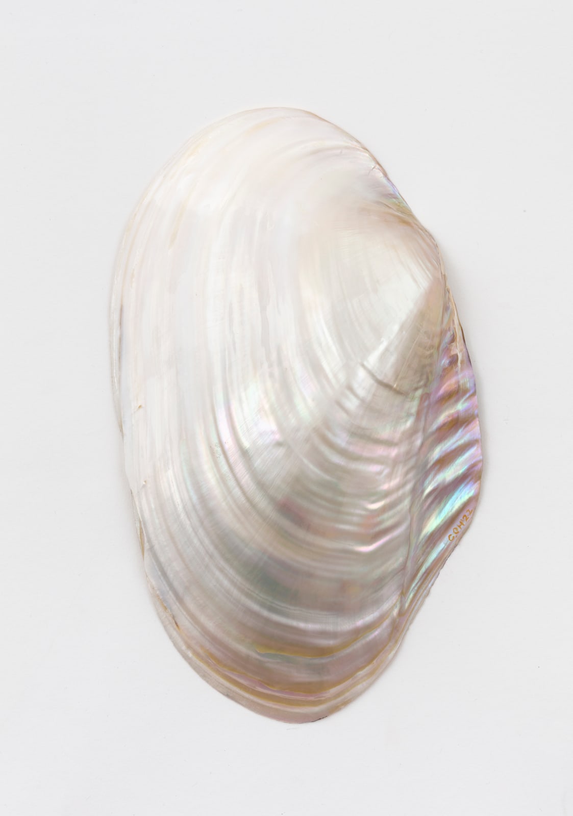 Chris Oh 克里斯·吴, Glisten 闪耀, 2022