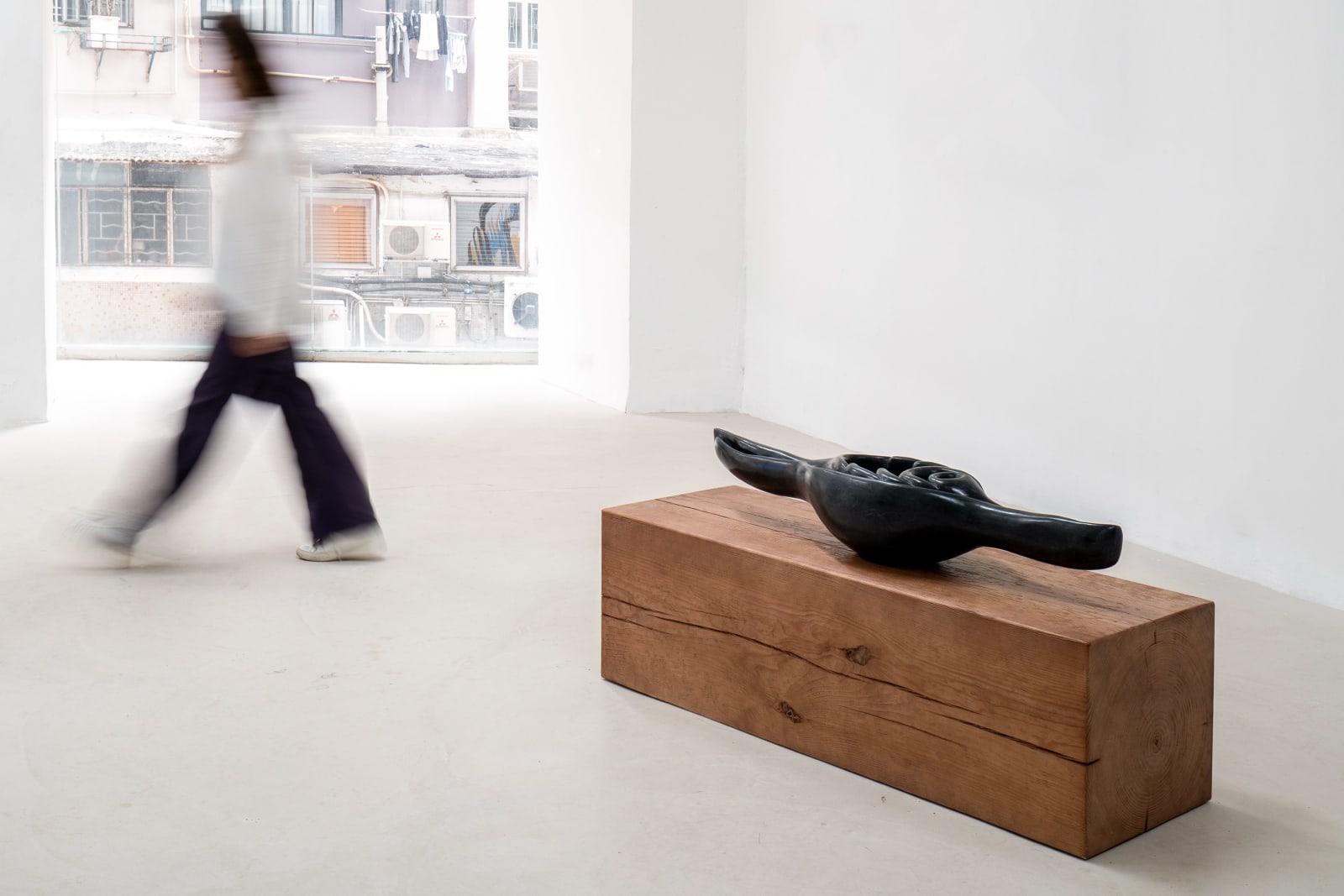 Leelee Chan 陳麗同, Shapeshifter (Volva) 变型体（梭螺）, 2025