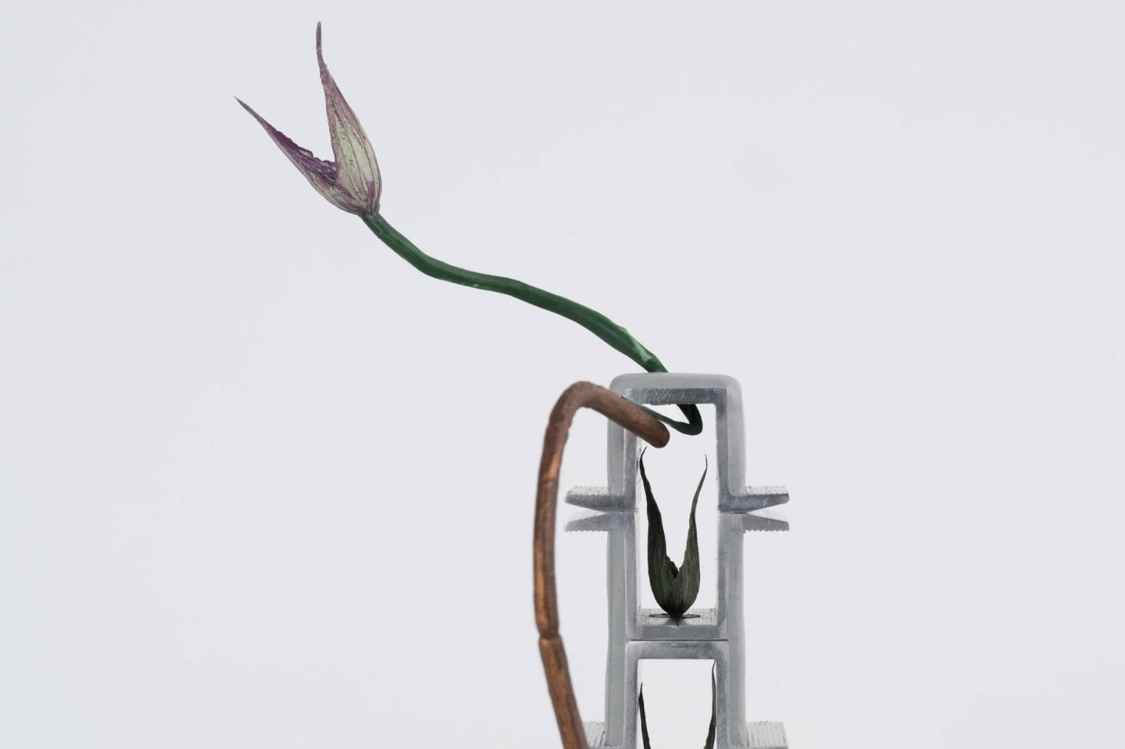 Leelee Chan 陳麗同, Garden Tower 花园塔楼, 2024