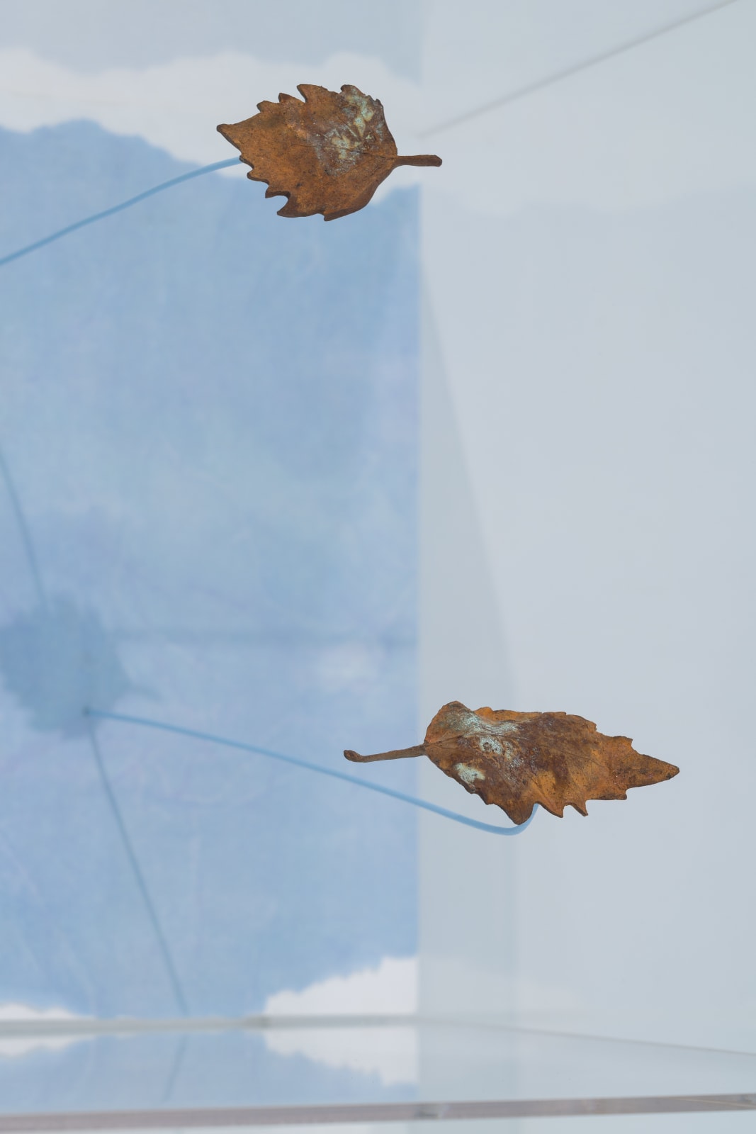 Maya Kramer 玛雅·克莱默, Empire Violet 紫罗兰帝国, 2018