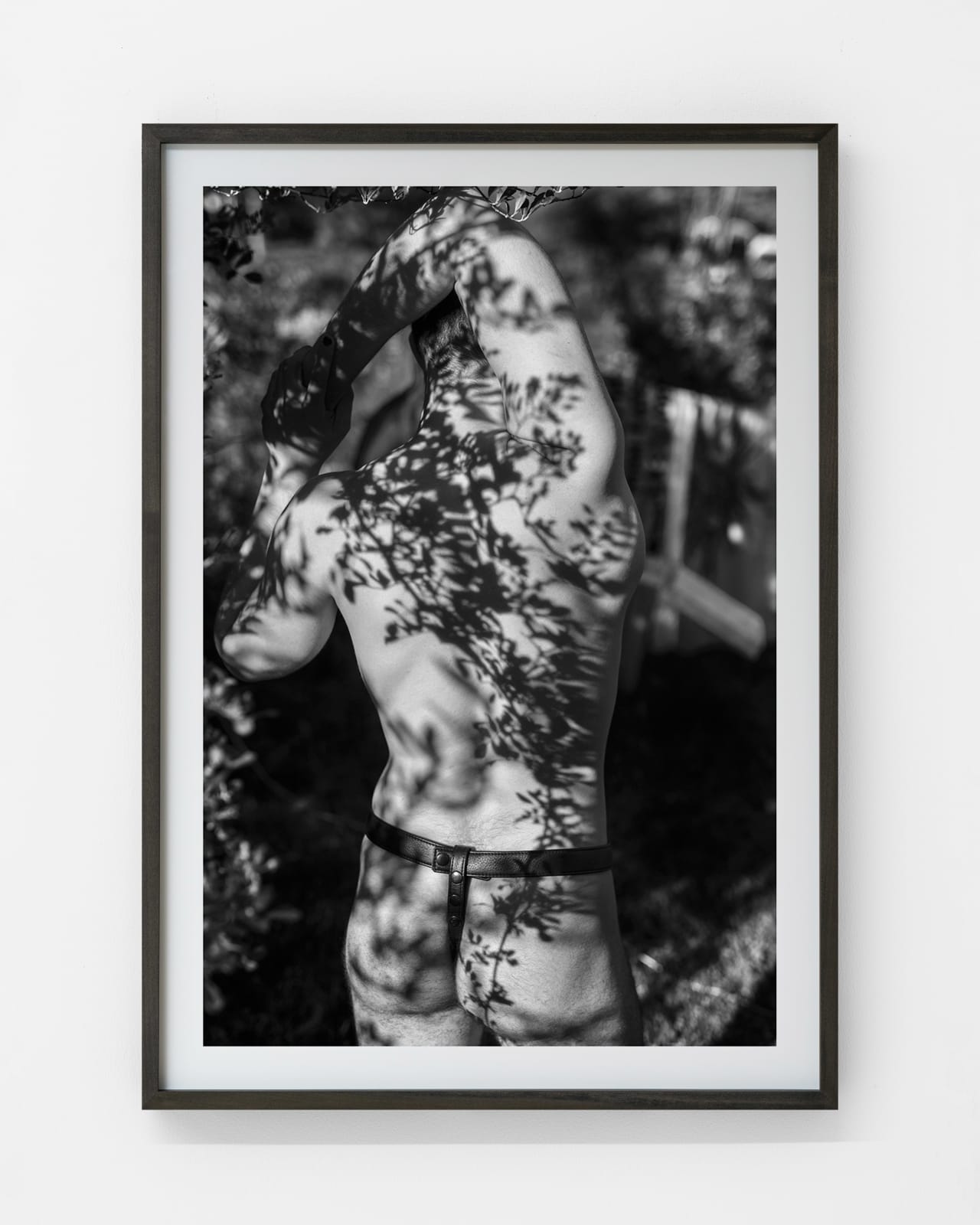 Bryson Rand 布莱森·兰德, Lace 蕾丝, 2024