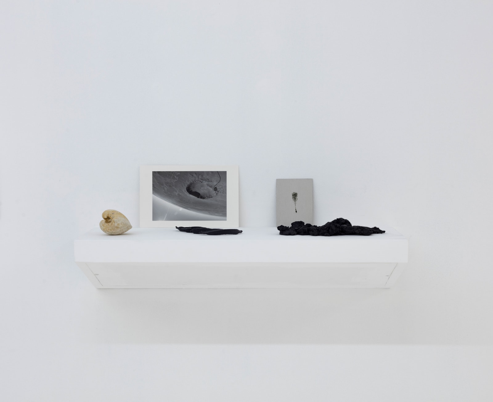 Alice Wang 王凝慧, All works: Untitled 无题 , 2015-2016