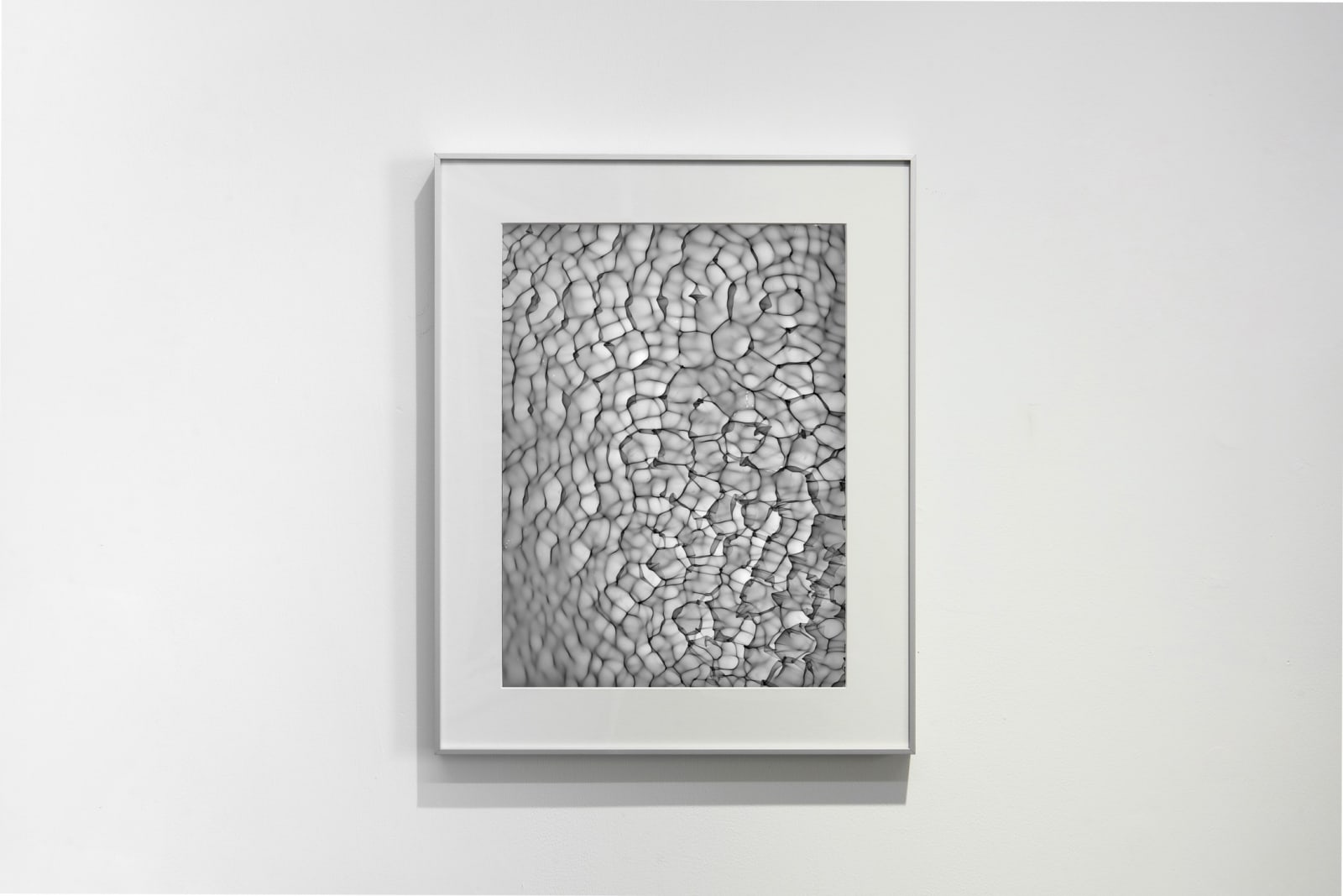 Feng Chen 冯晨, Between 20hz-30hz (02) 赫兹 20hz-30hz之间 (02), 2019