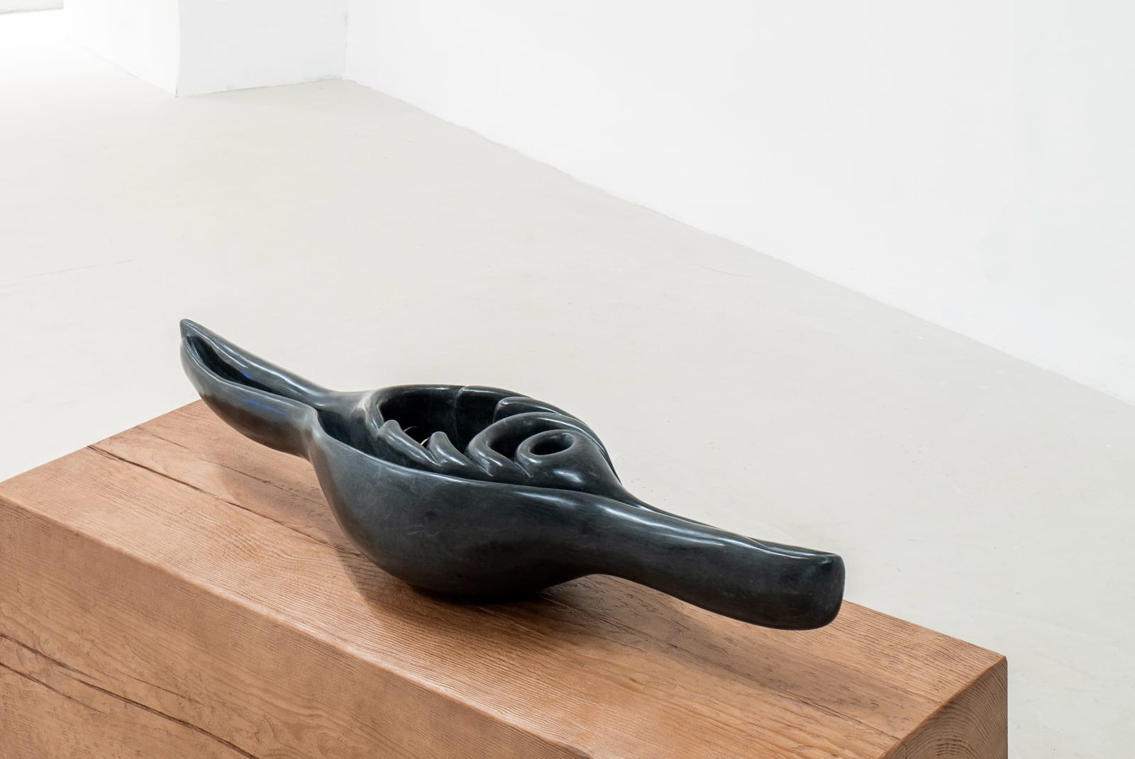 Leelee Chan 陳麗同, Shapeshifter (Volva) 变型体（梭螺）, 2025