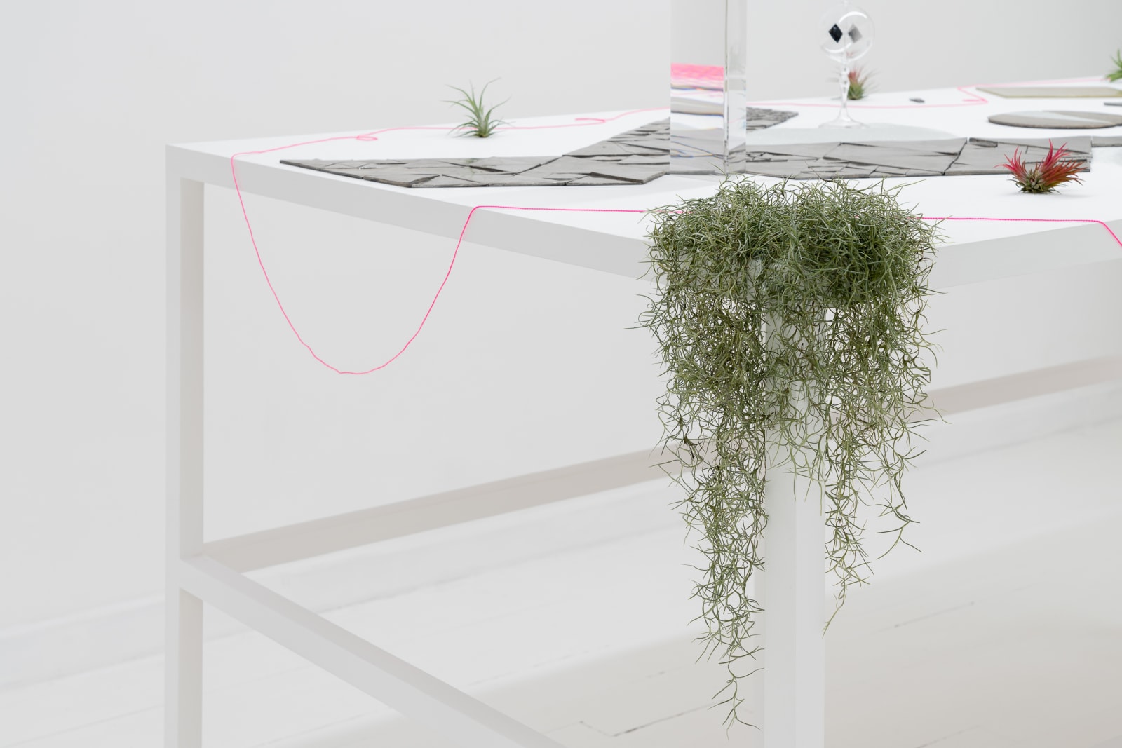 Alice Wang 王凝慧, Untitled 无题, 2021
