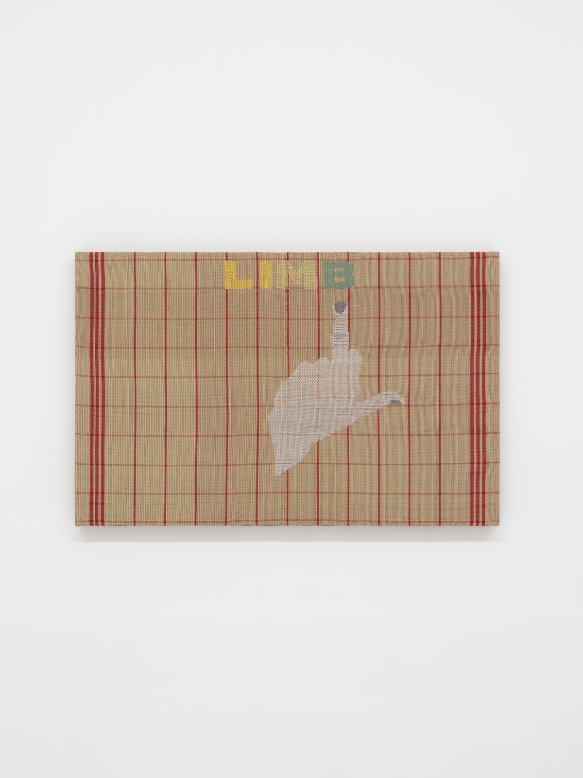 Miranda Fengyuan Zhang 张丰渊, LIMB 肢, 2025