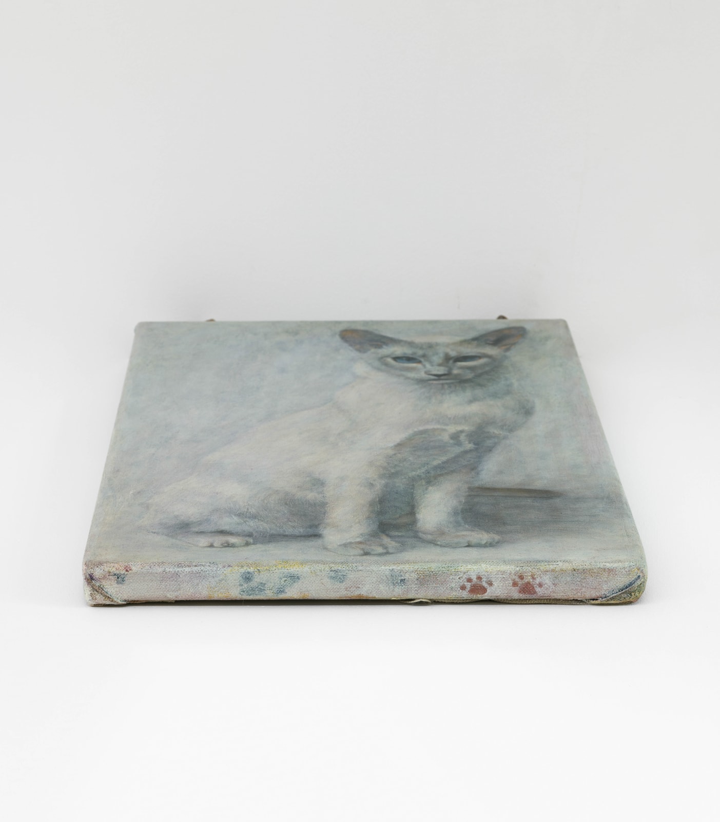 Ryosuke Kumakura 熊倉良介, Cat 猫, 2019