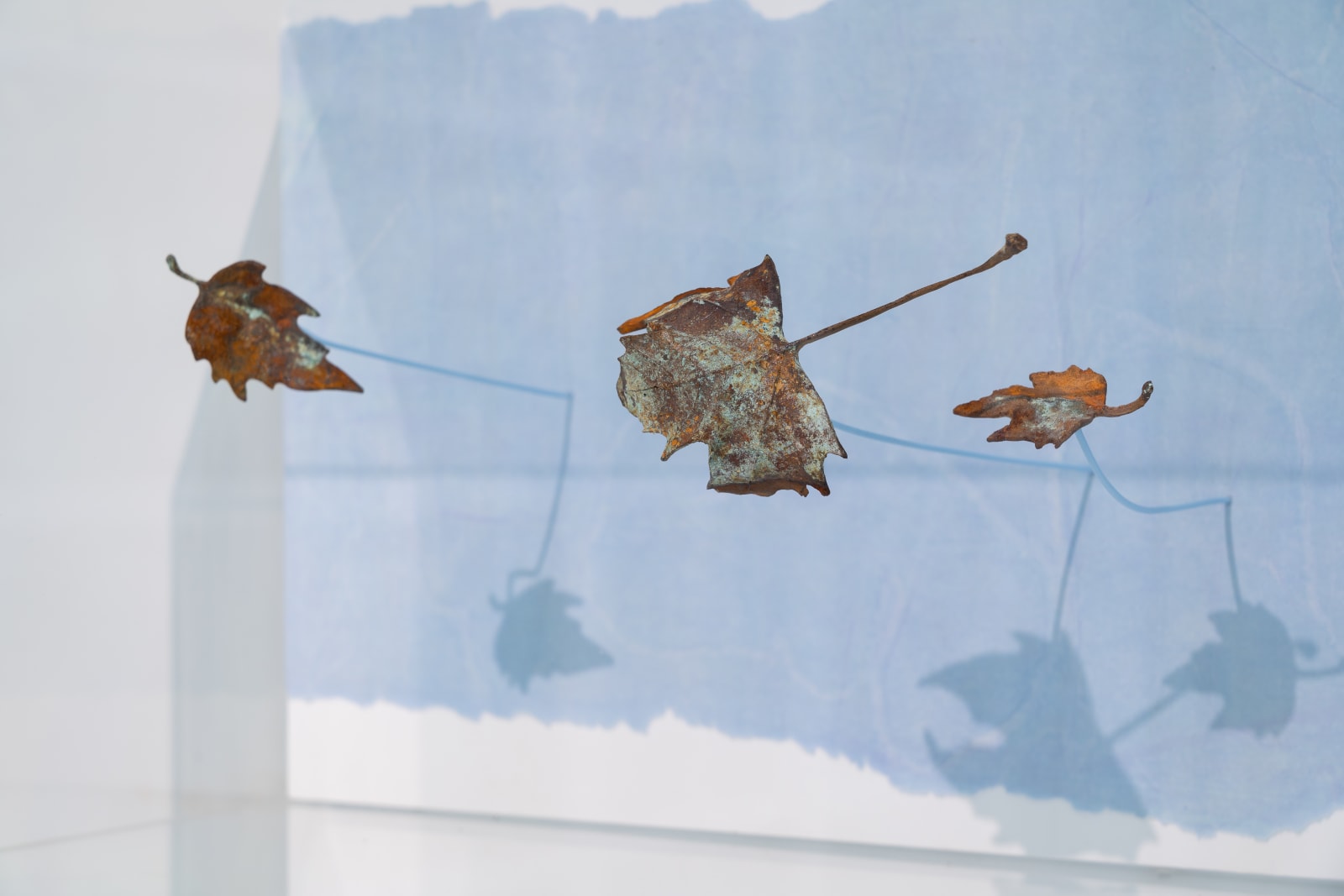 Maya Kramer 玛雅·克莱默, Empire Violet 紫罗兰帝国, 2018