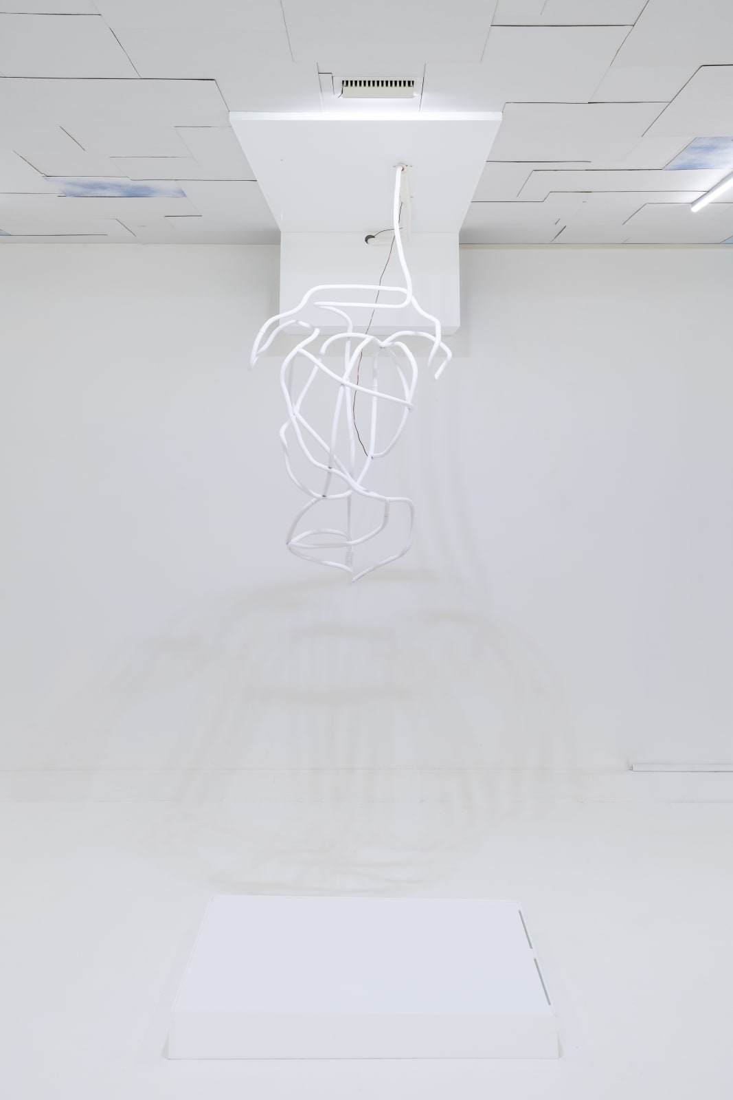 Maya Kramer 玛雅·克莱默, Preserved I 藏蓄I, 2018
