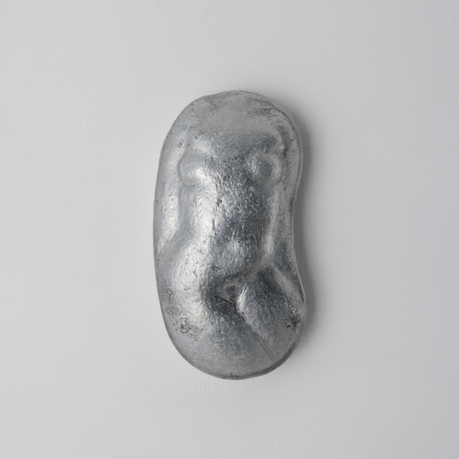Tian Jianxin 田建新, Kidney (front) 腰子正, 2022