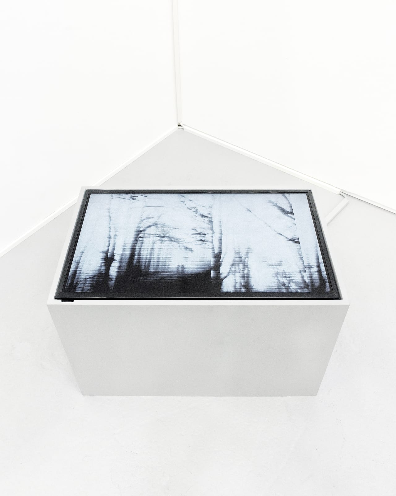 Luca Campestri 卢卡·坎佩斯特里, Spettri 幽灵, 2022