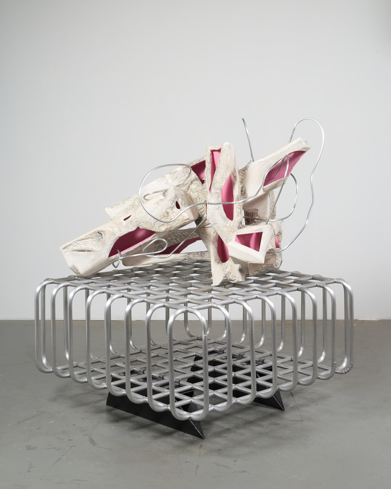 Douglas Rieger 道格拉斯·莱杰, Invisible Dragon (Int.Strain) 不可见之龙（内部张力）, 2025