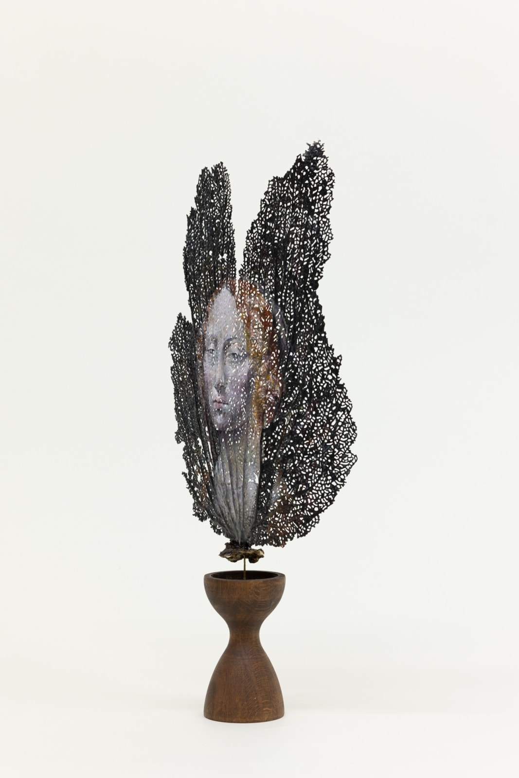 Chris Oh 克里斯·吴, Gorgon 戈耳工, 2023