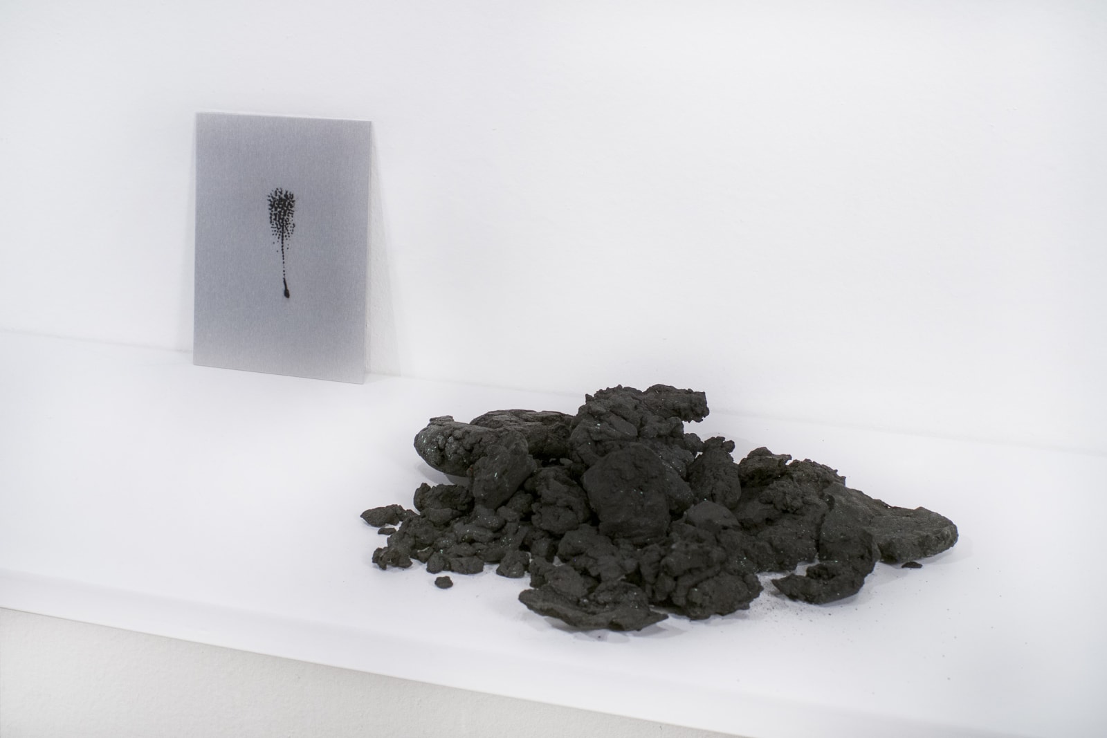 Alice Wang 王凝慧, All works: Untitled 无题 , 2015-2016