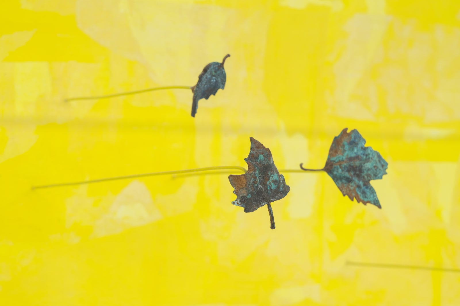 Maya Kramer 玛雅·克莱默, Lemon Scented Demise 柠檬香之终, 2017
