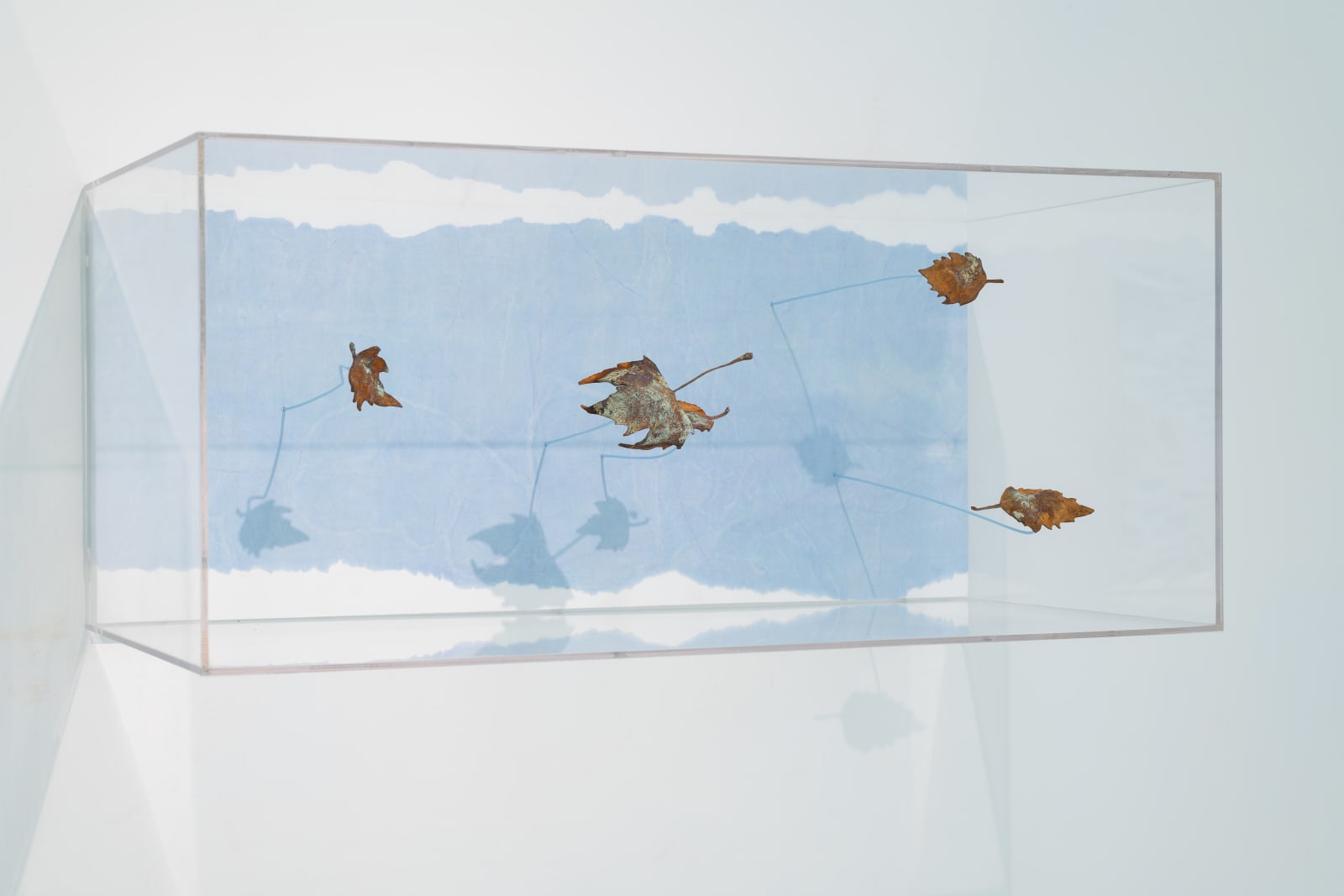 Maya Kramer 玛雅·克莱默, Empire Violet 紫罗兰帝国, 2018