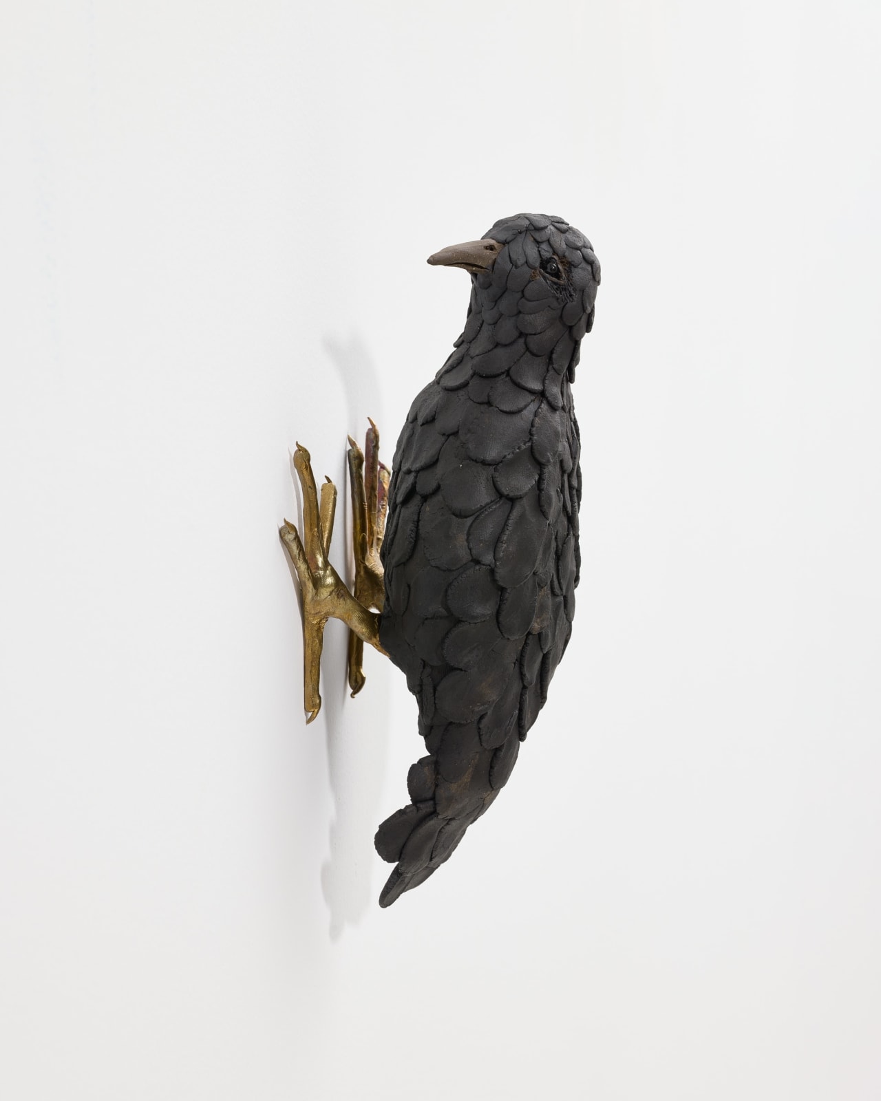 Elizabeth Jaeger 伊丽莎白·耶格, Bird 鸟, 2024