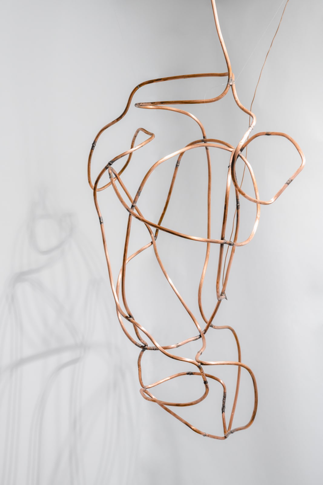 Maya Kramer 玛雅·克莱默, Preserved I 藏蓄I, 2018
