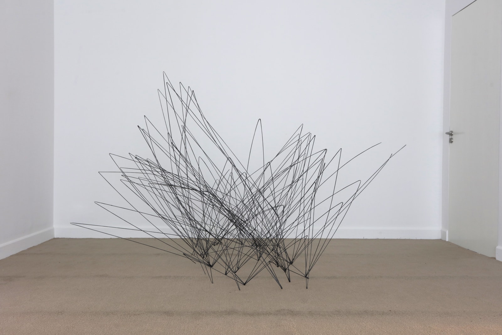 Feng Chen 冯晨, He 他 , 2019
